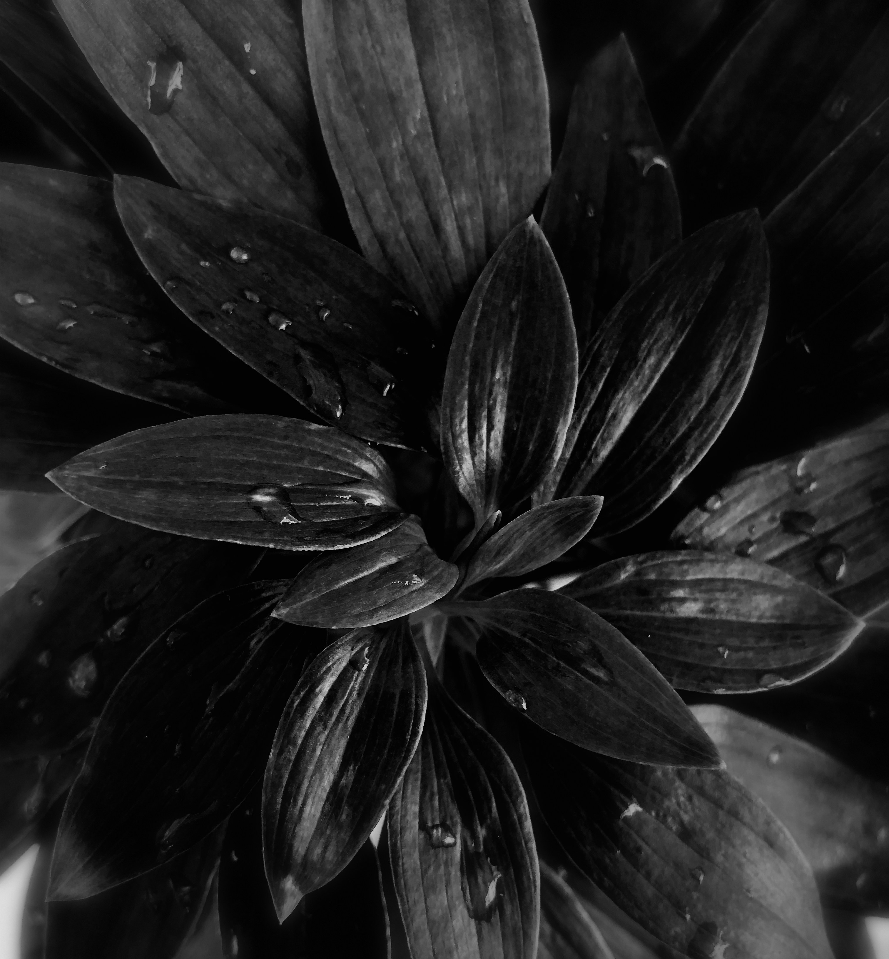 Image-7 (4)_.jpg