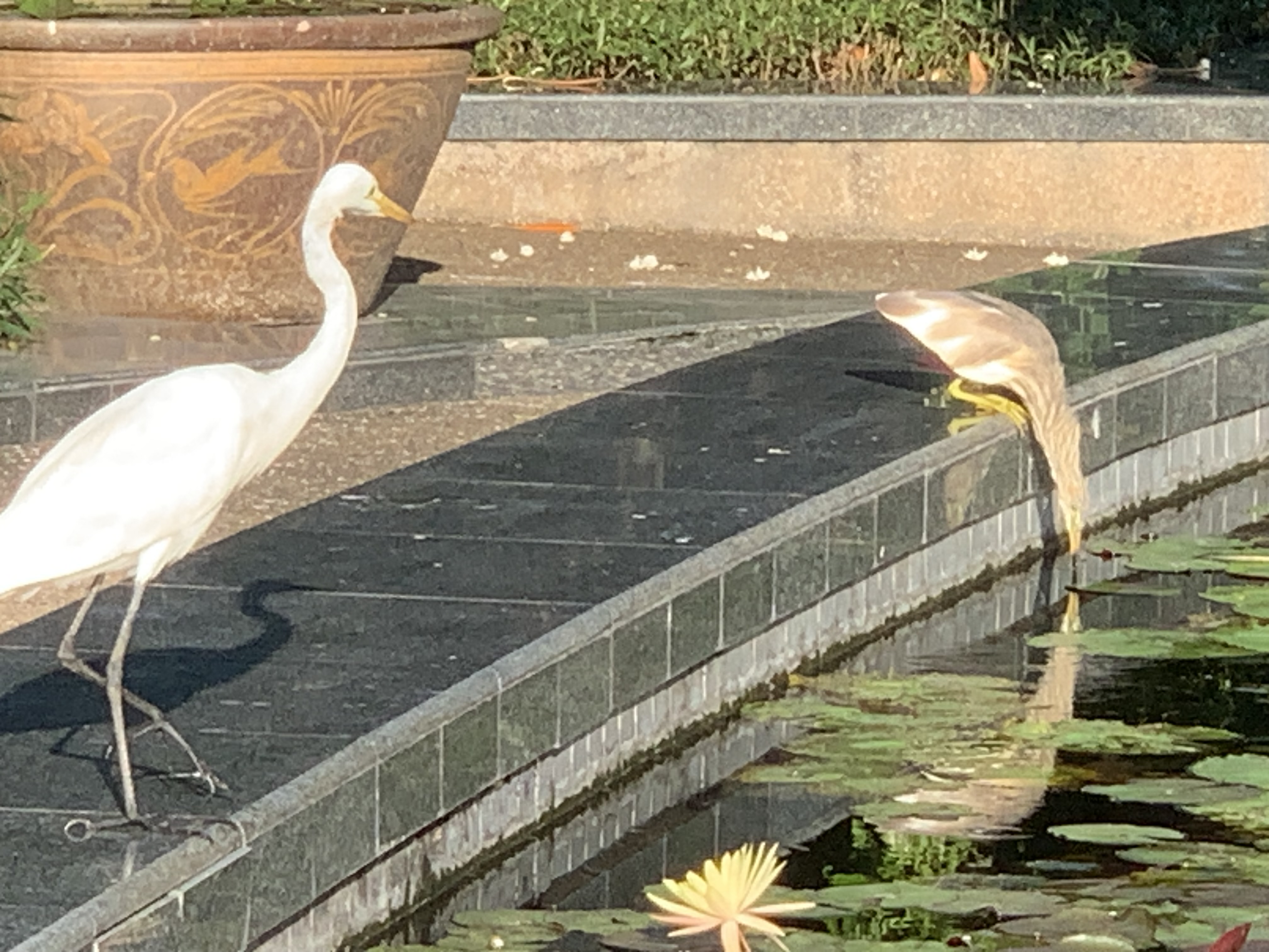birdwatching spots10.jpg