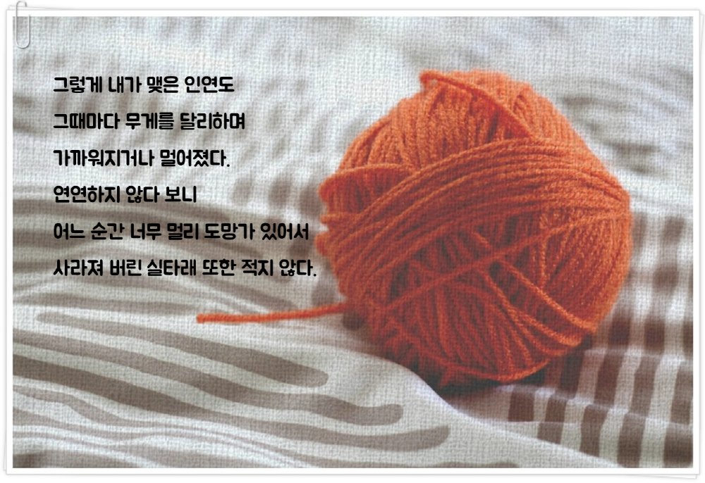 베스트 문장 14 (7).png