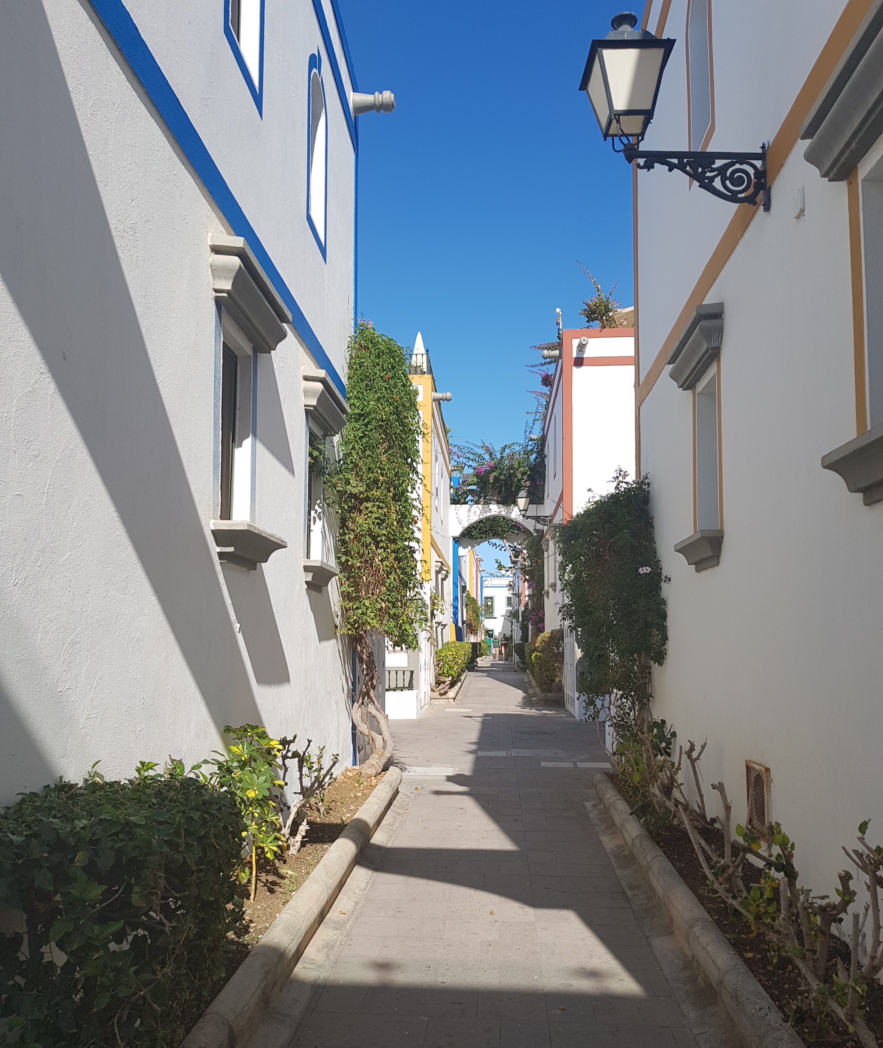 20180603_111856.jpg