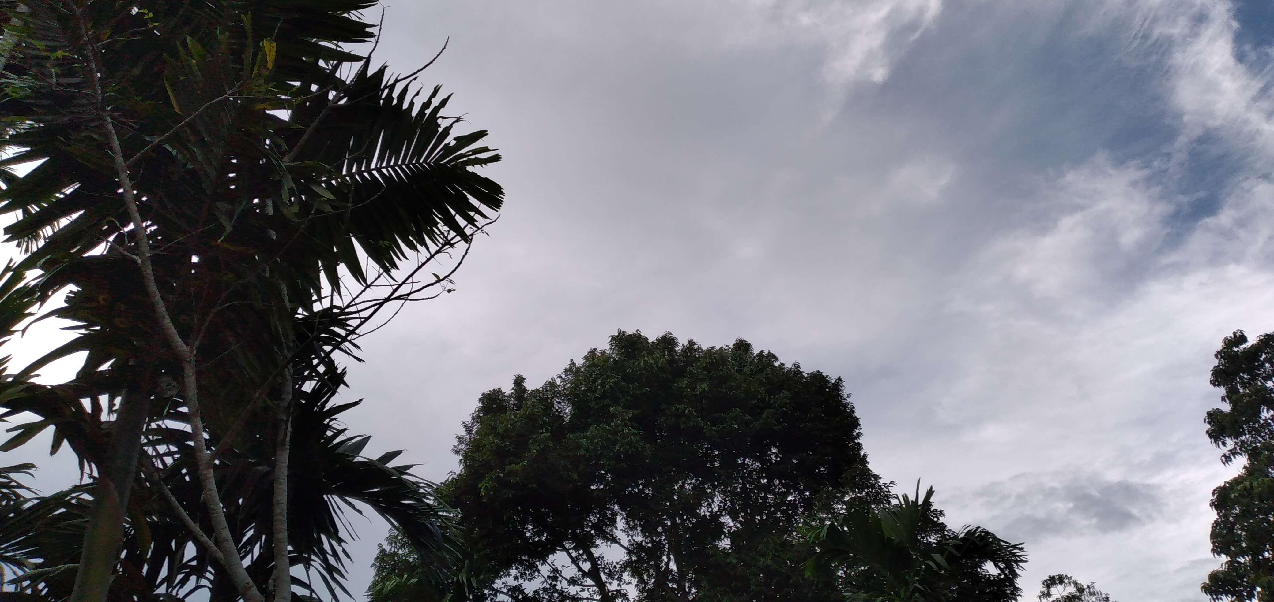 20230205_172632.jpg
