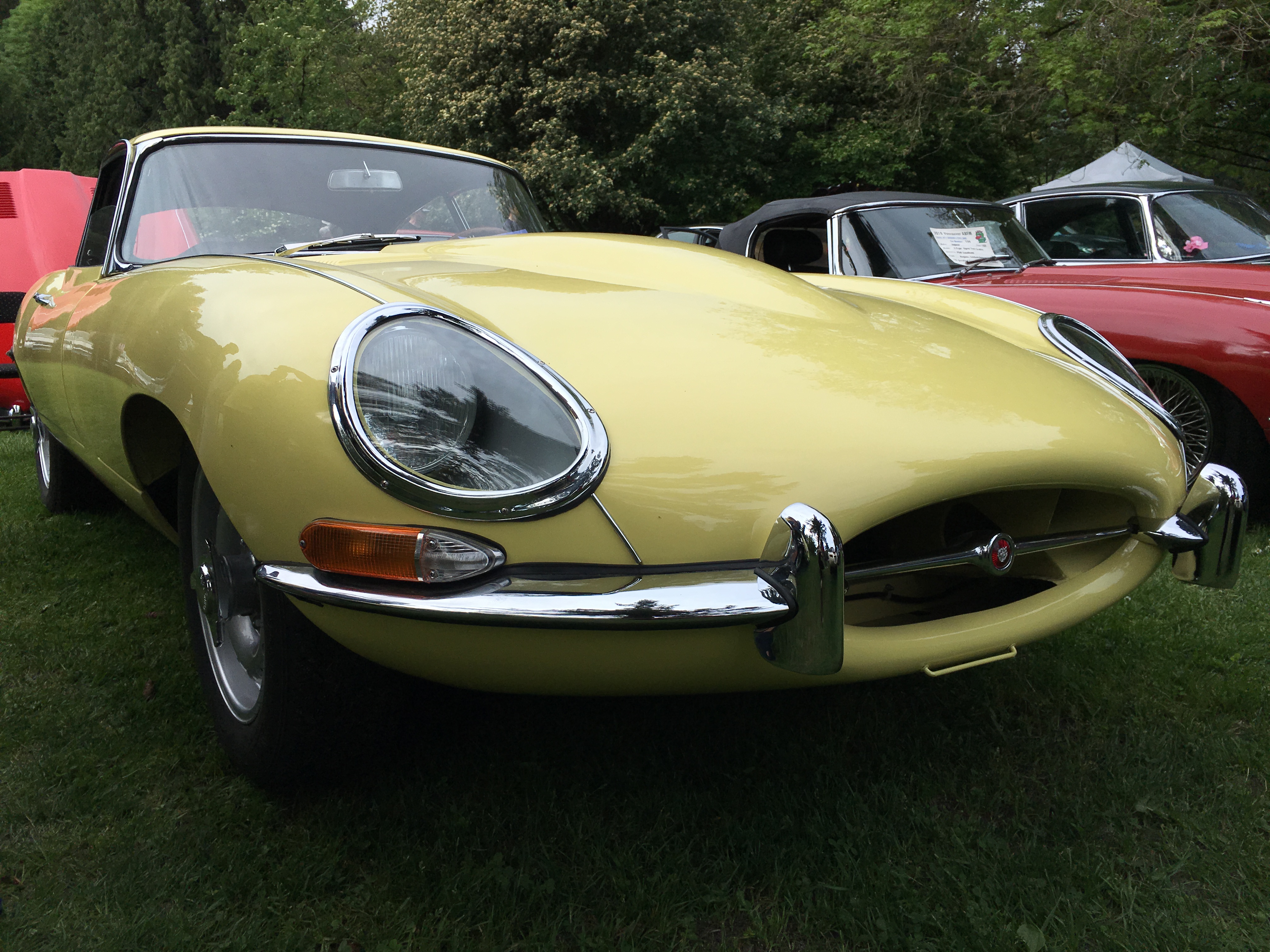 Jaguar E-Type, one of the most iconic British race cars — Steemit