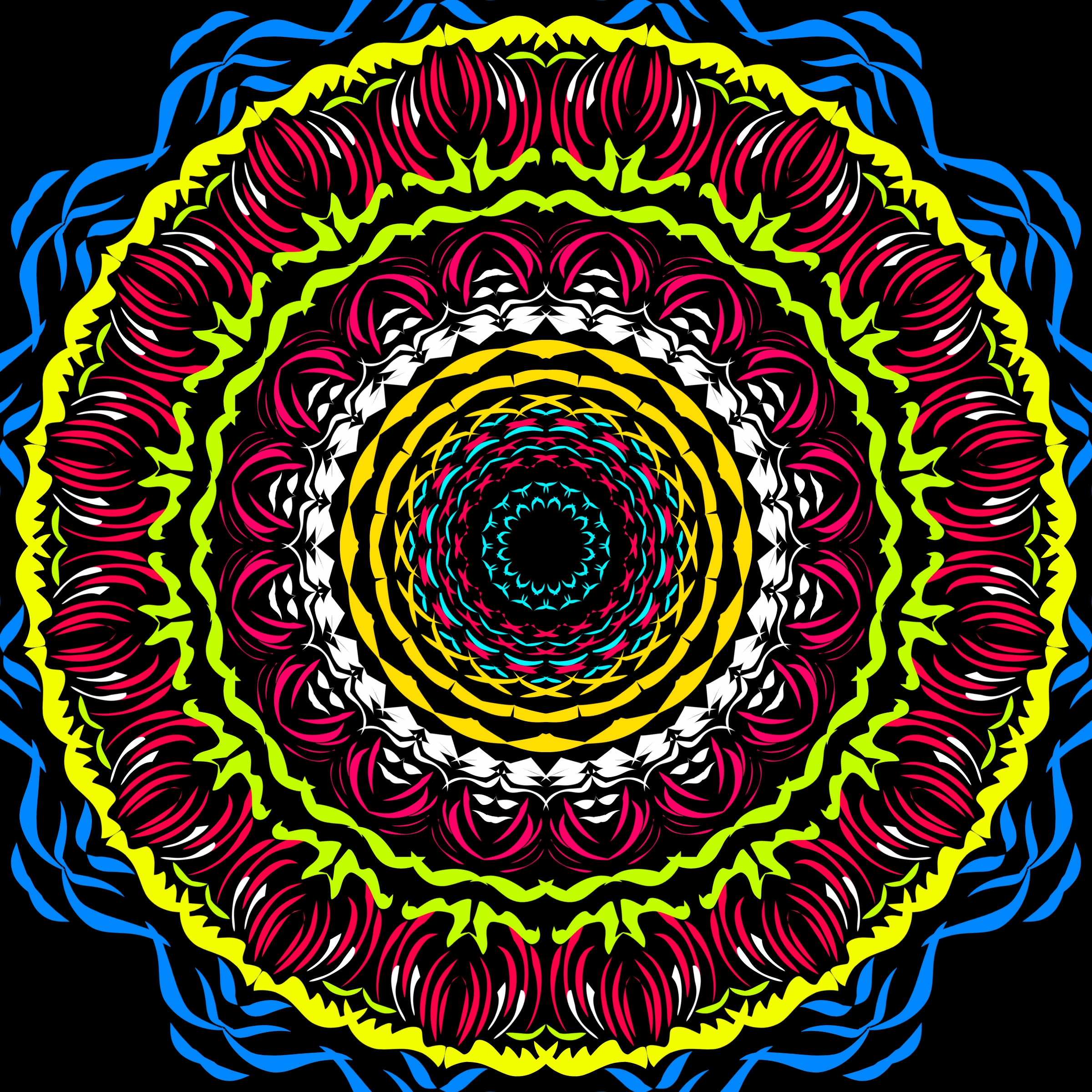 tjyj (20241107112521).jpg