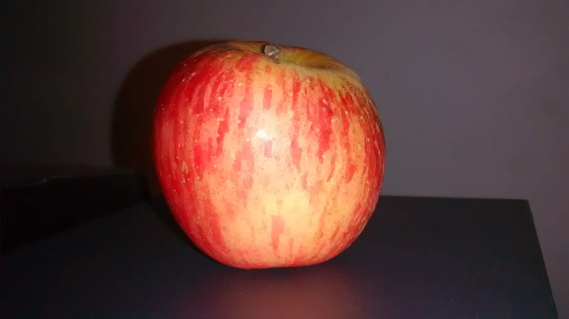 IMG_20191013_163026586.jpg