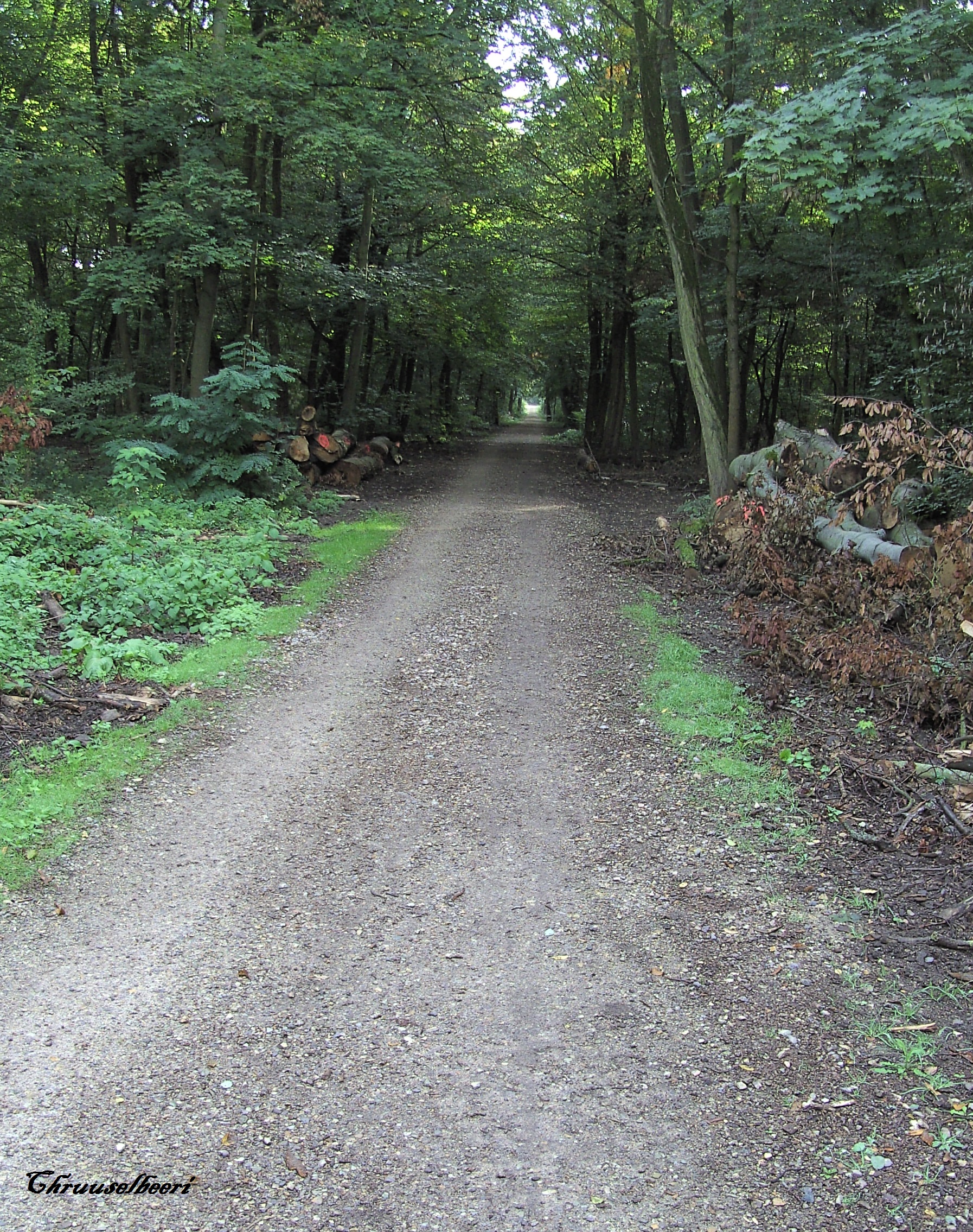 Wanderung_04.jpg