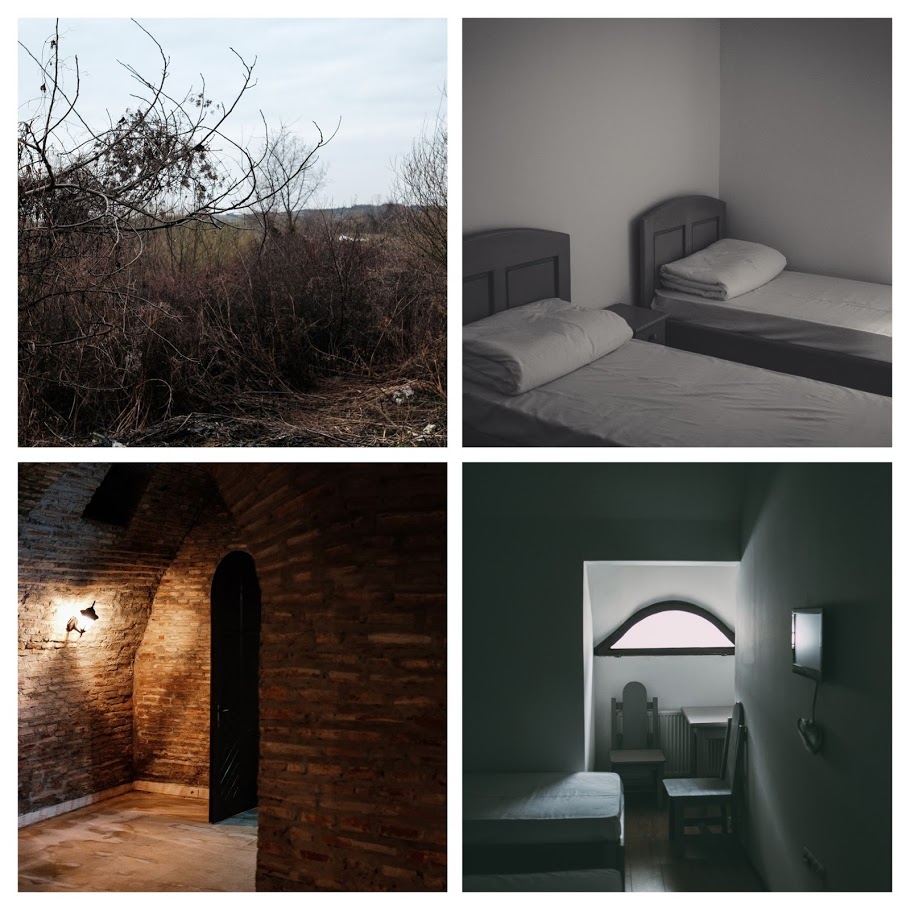 20170309-DSCF2800-COLLAGE.jpg