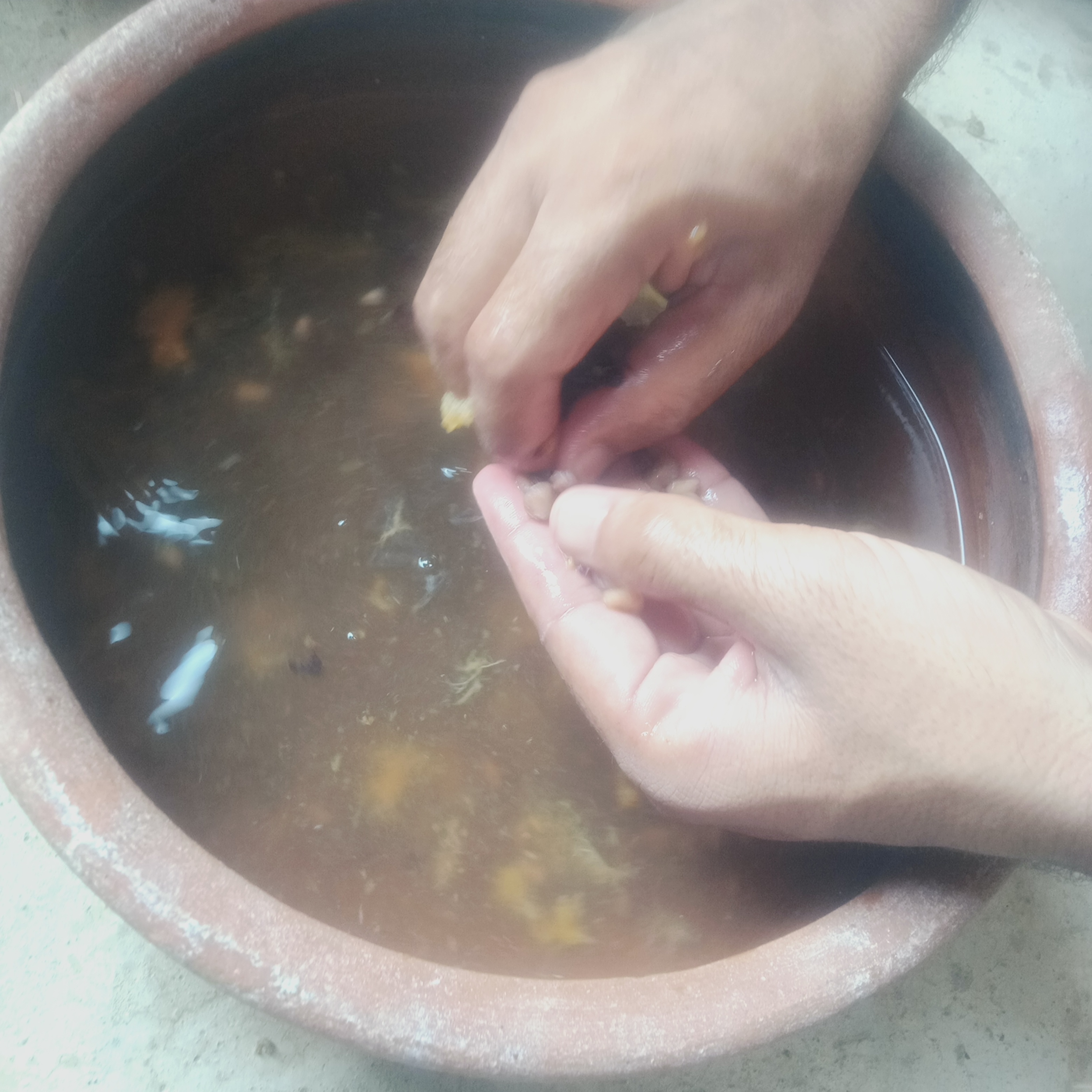 IMG20240703082144.jpg
