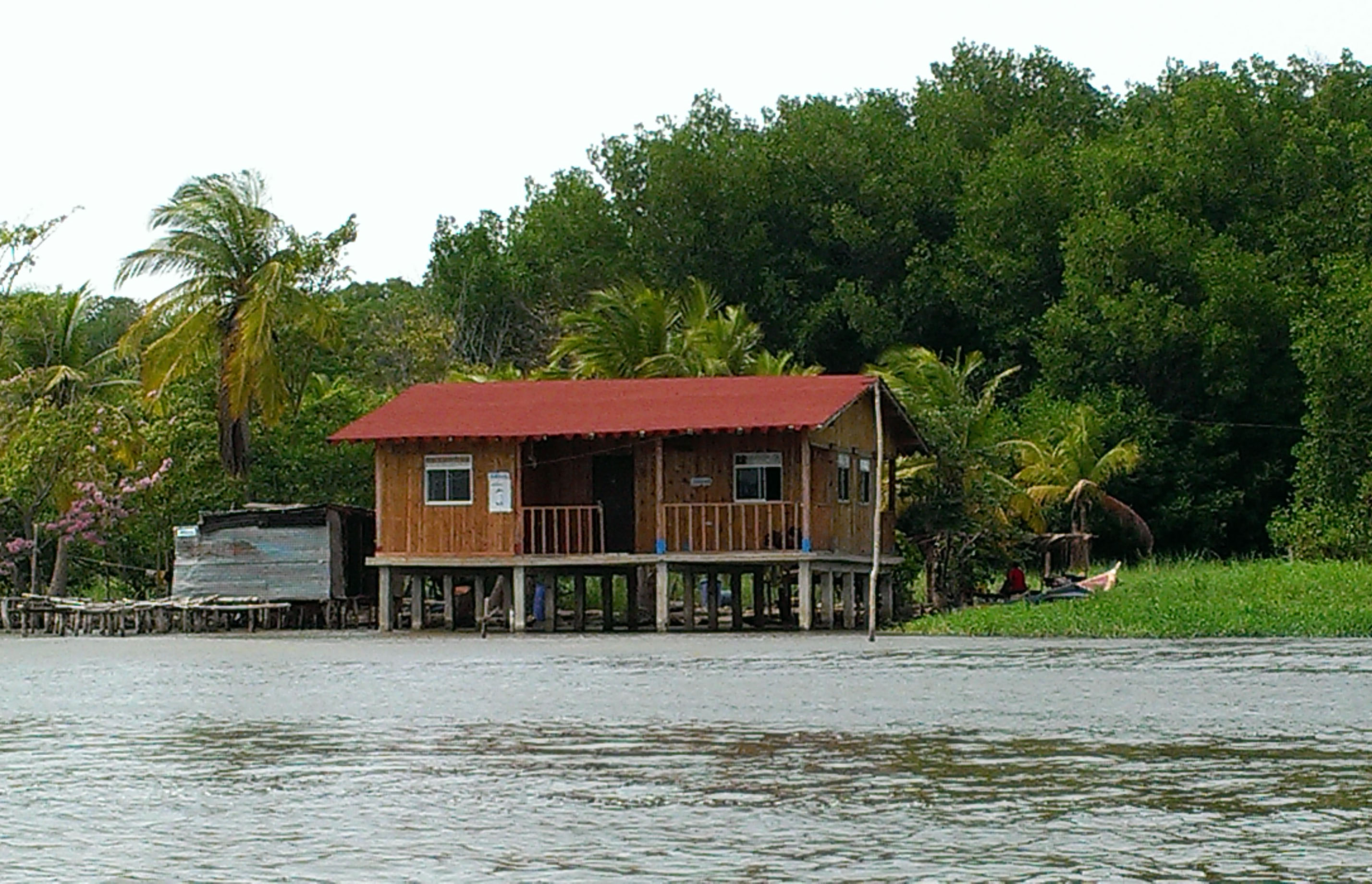 IMAG1266.jpg