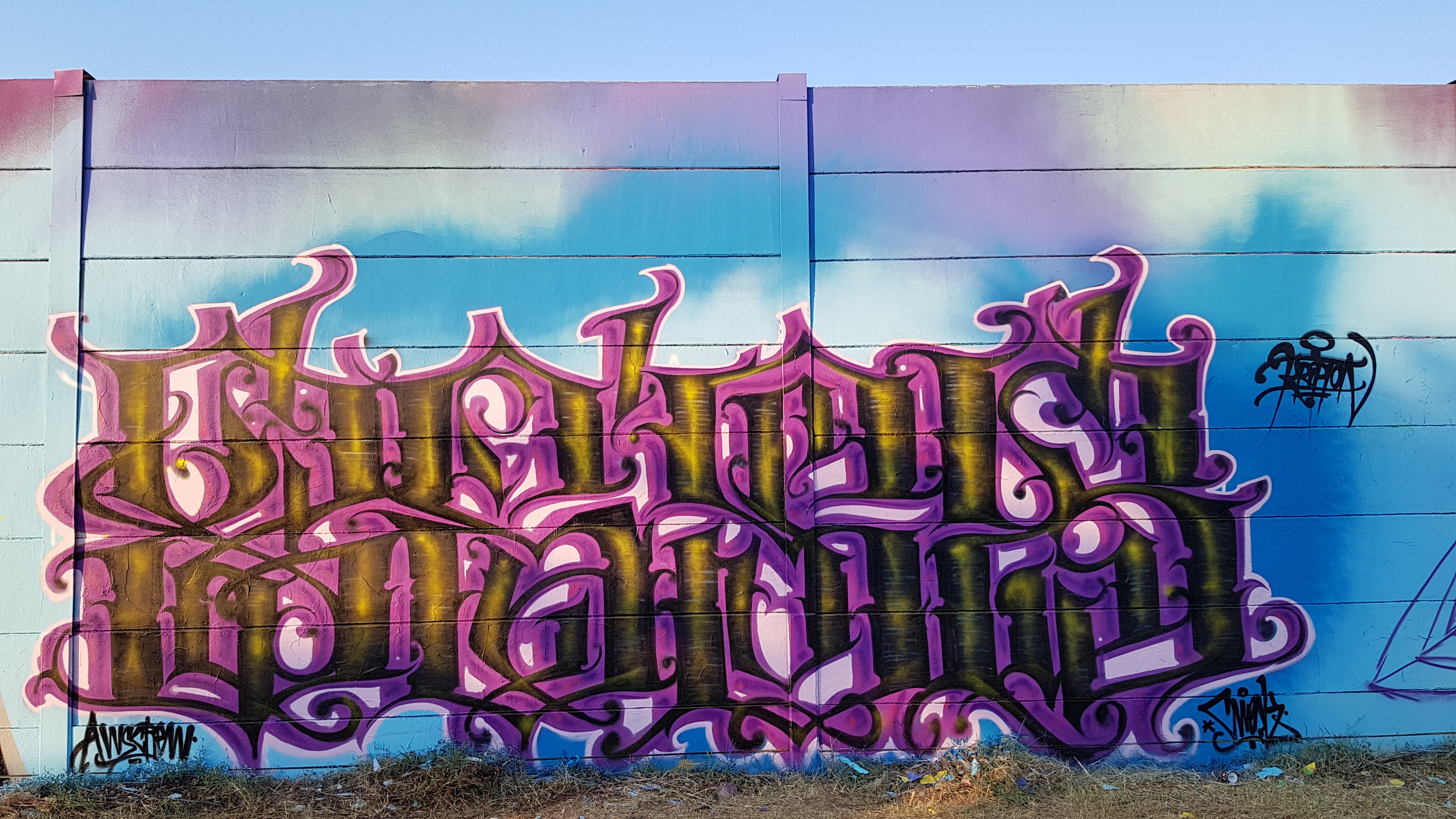 20180819_182725.jpg