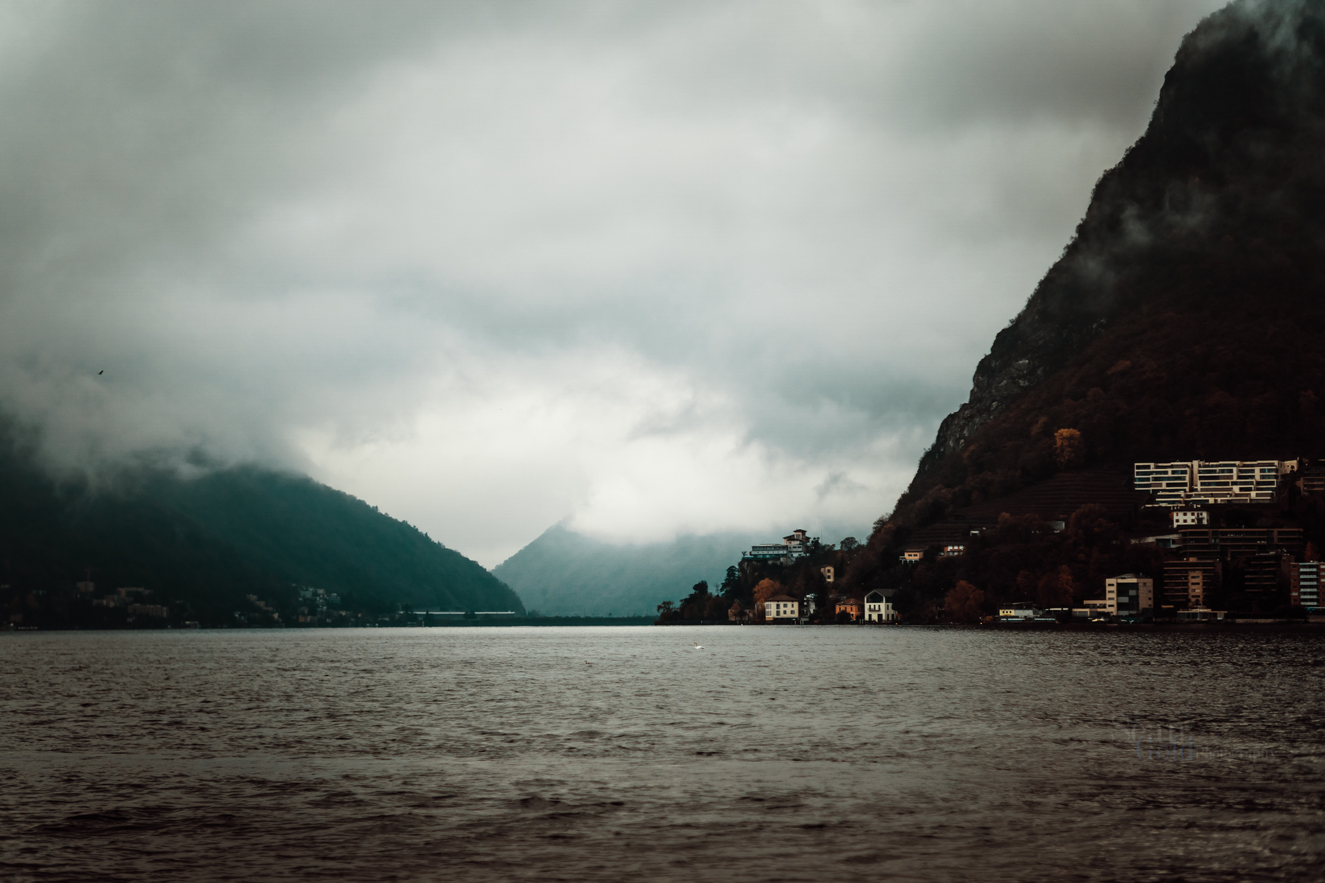 Sean_Gold_November 10, 2018_56522-WebExport.jpg