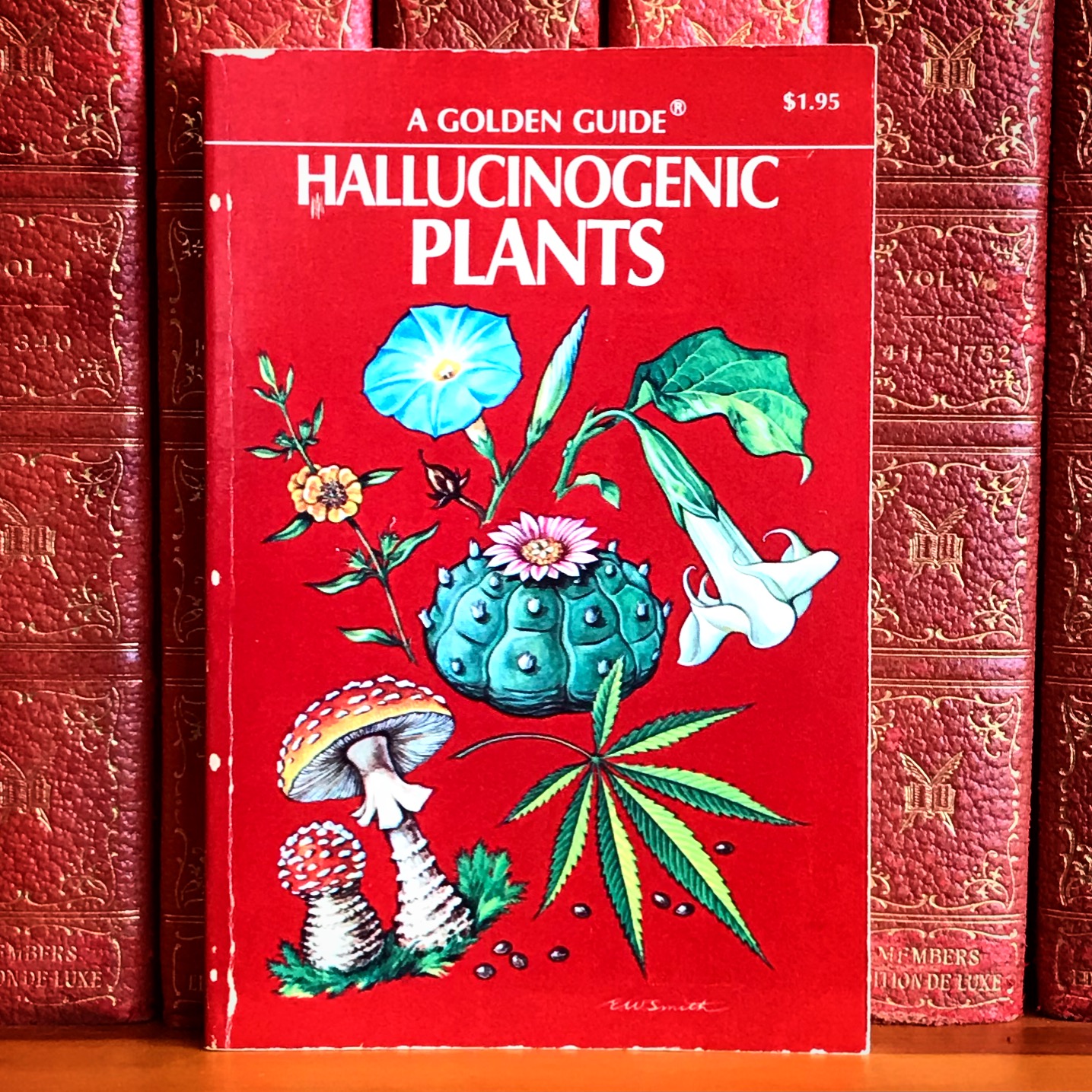 Rare Book of the Day  A Golden Guide to Hallucinogenic Plants, Richard  Schultes. First Edition.  Steemit