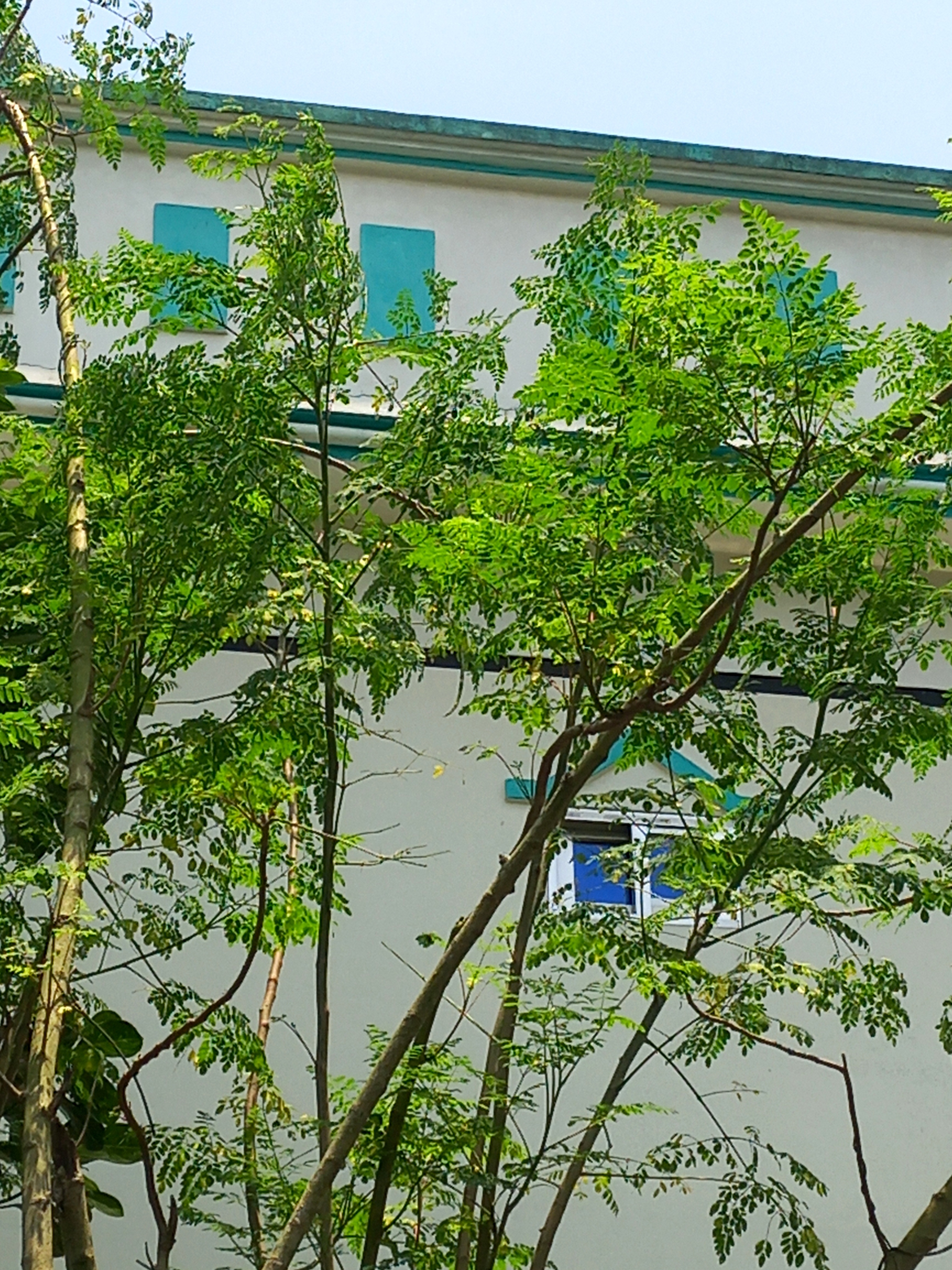 20260512_122303.jpg