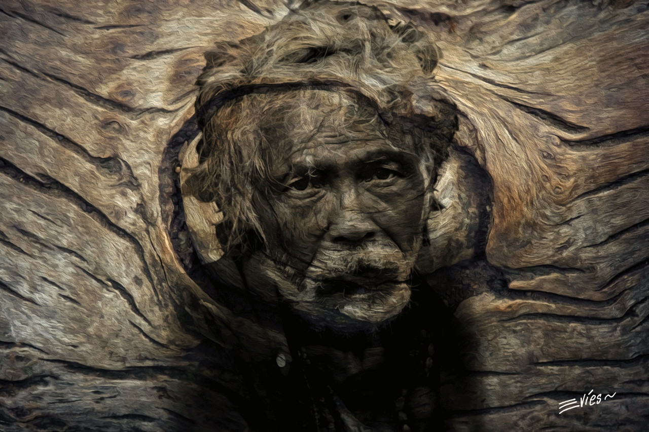 centenarios.gif