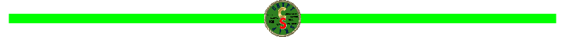 CRYPT_SKIP_PAGE_DIVIDER.png