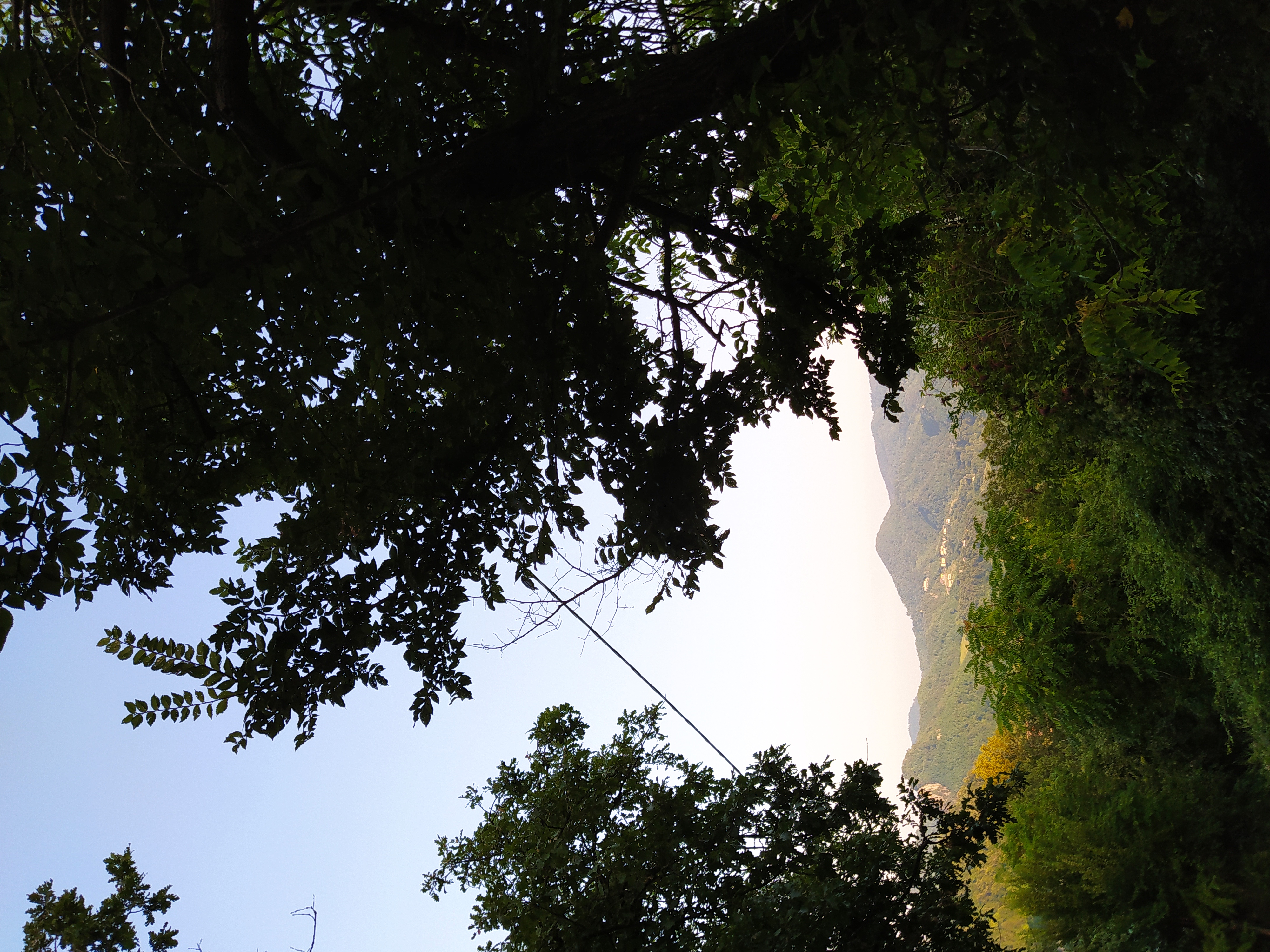 LLandscape (2).jpg