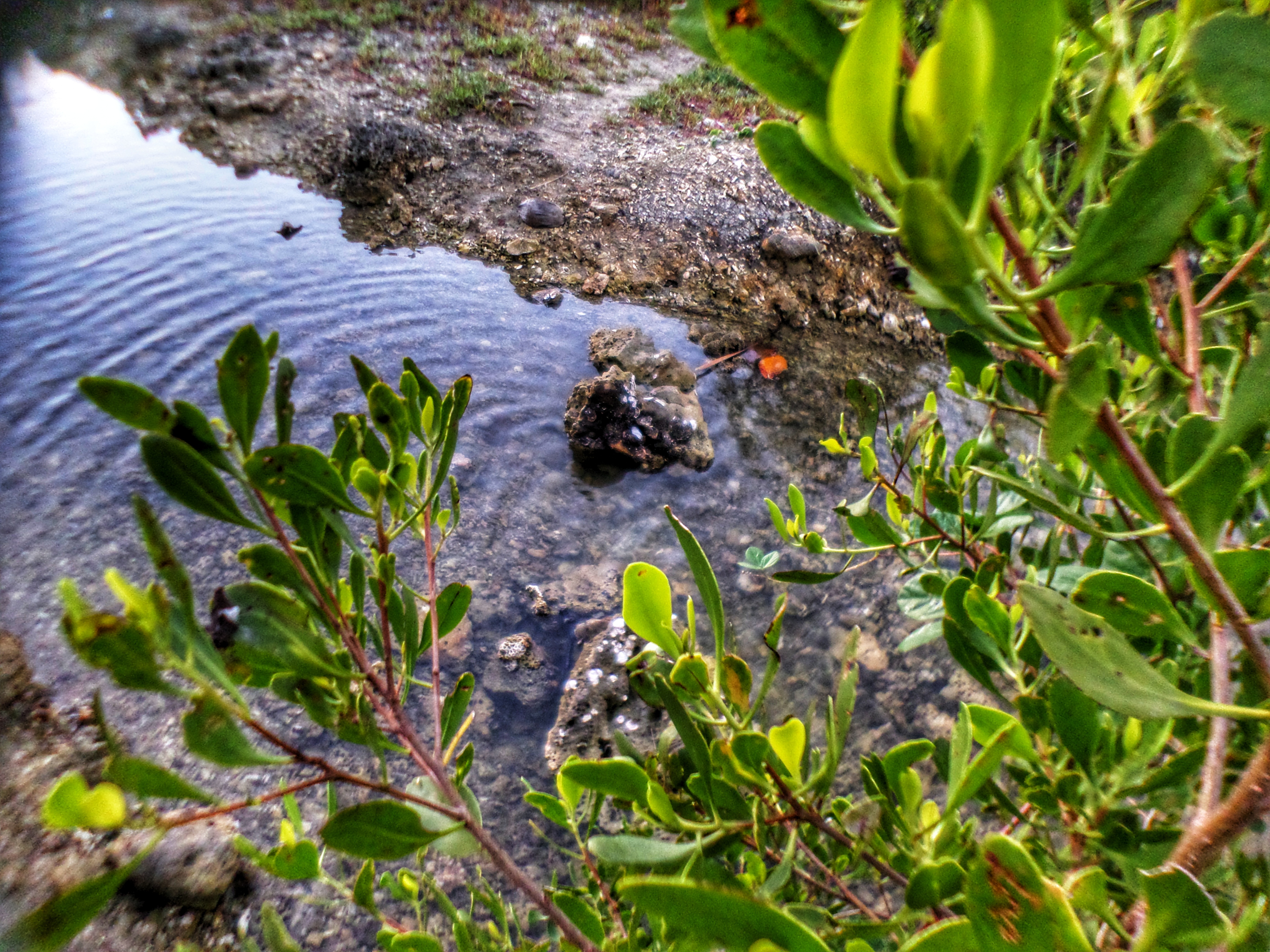 DSC_0968_1-01.jpeg