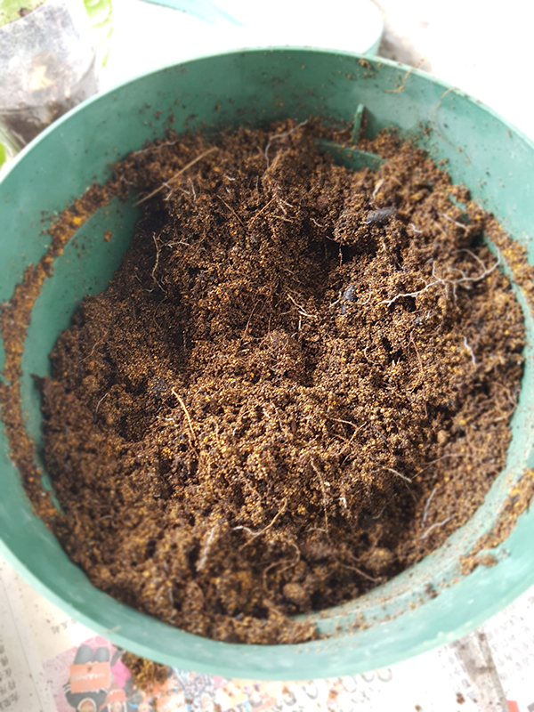 Usecompost09.jpg