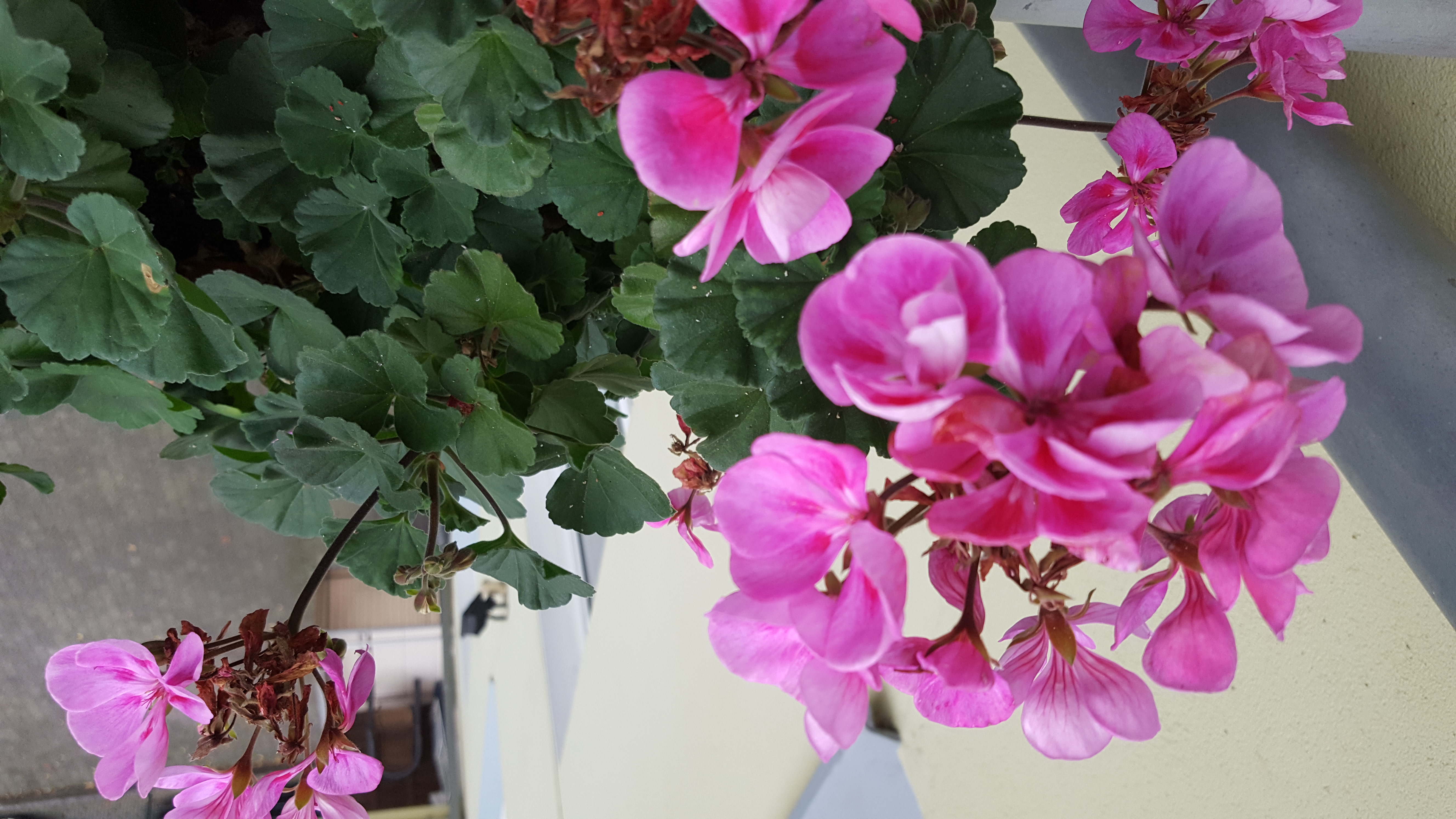 20191015_172626.jpg