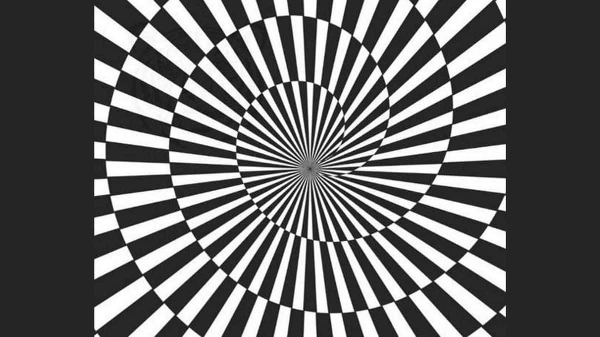 Find-Hidden-Tiger-in-8-Seconds-Optical-Illusion.jpg