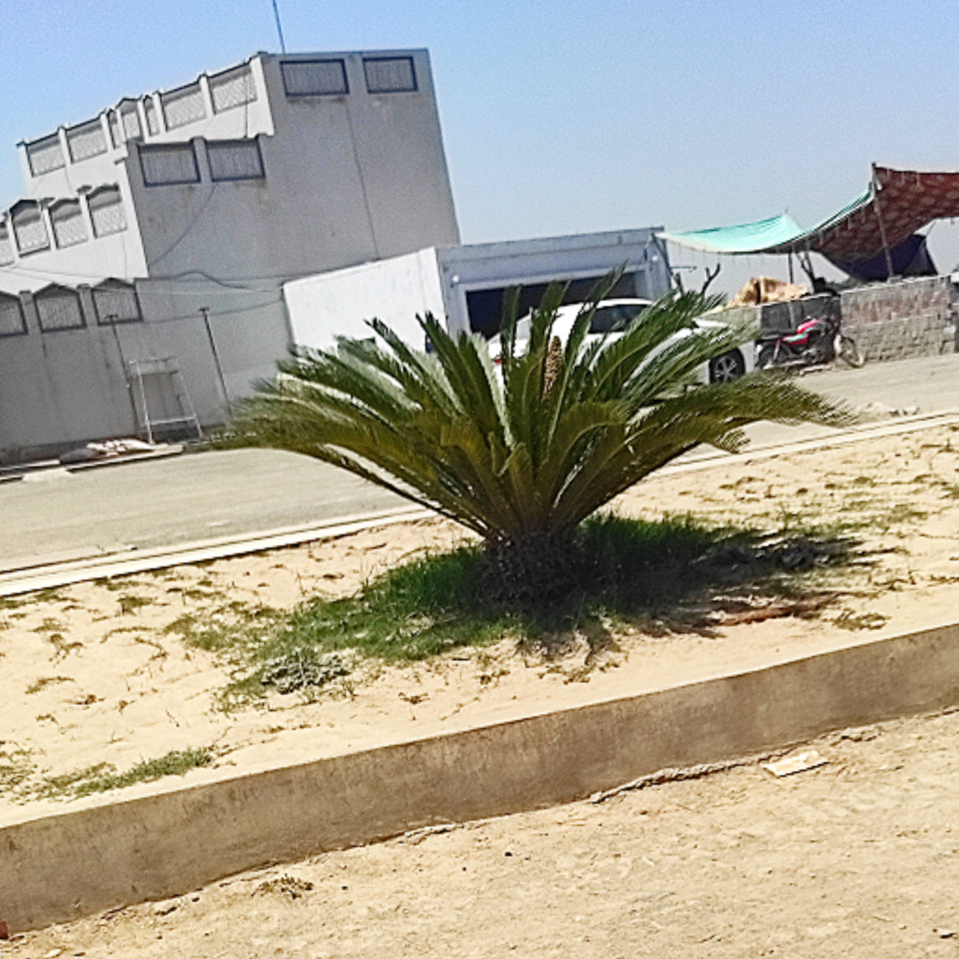 InShot_20210530_075517386.jpg