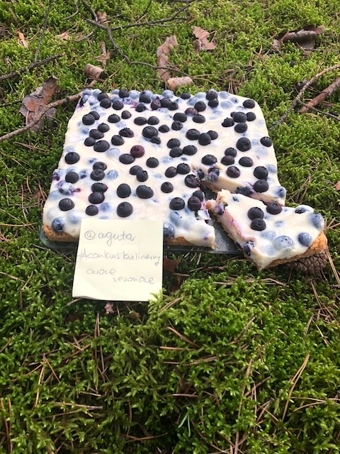 IMG_0442.jpg