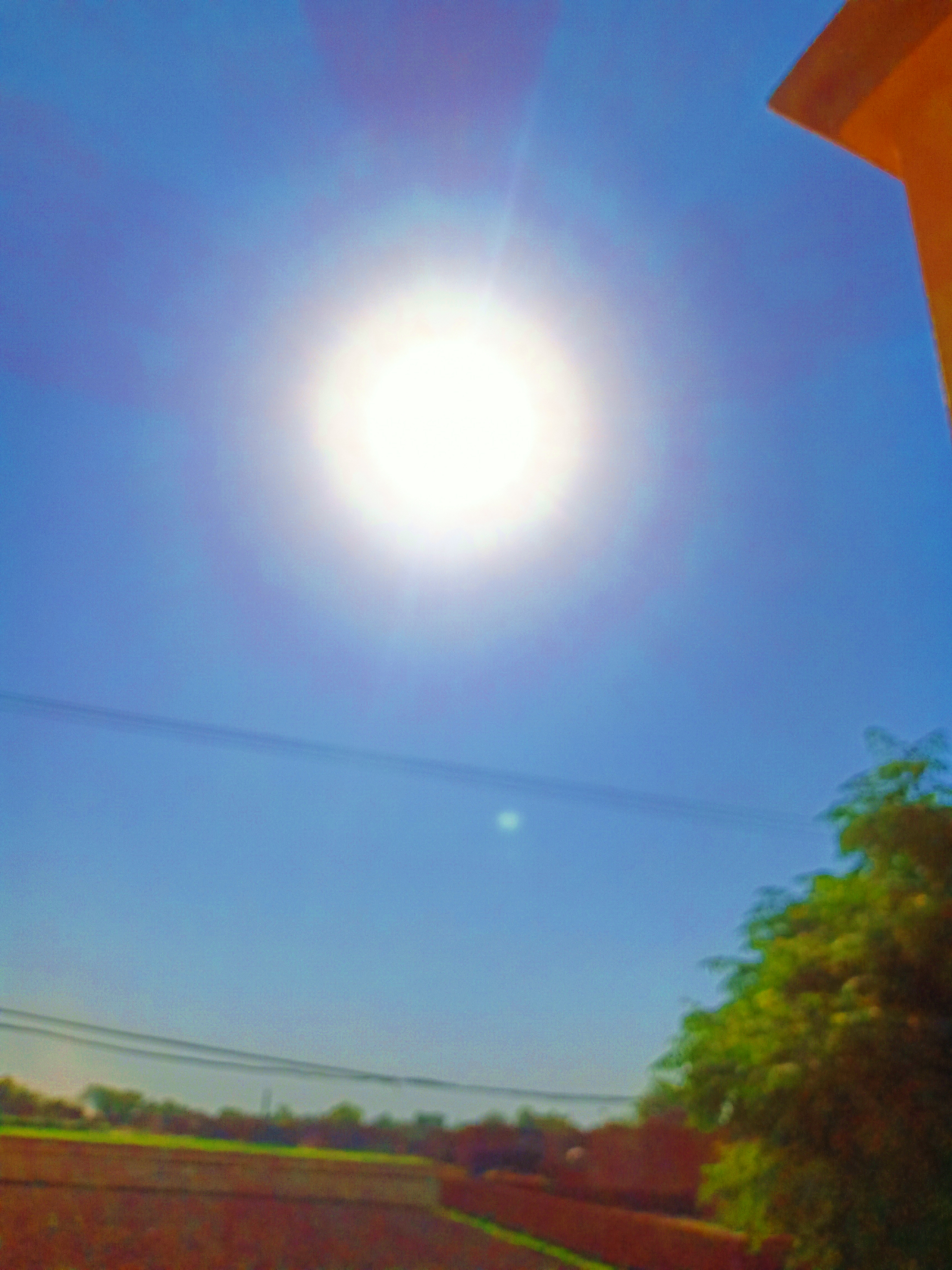 IMG_20210525_220721.jpg