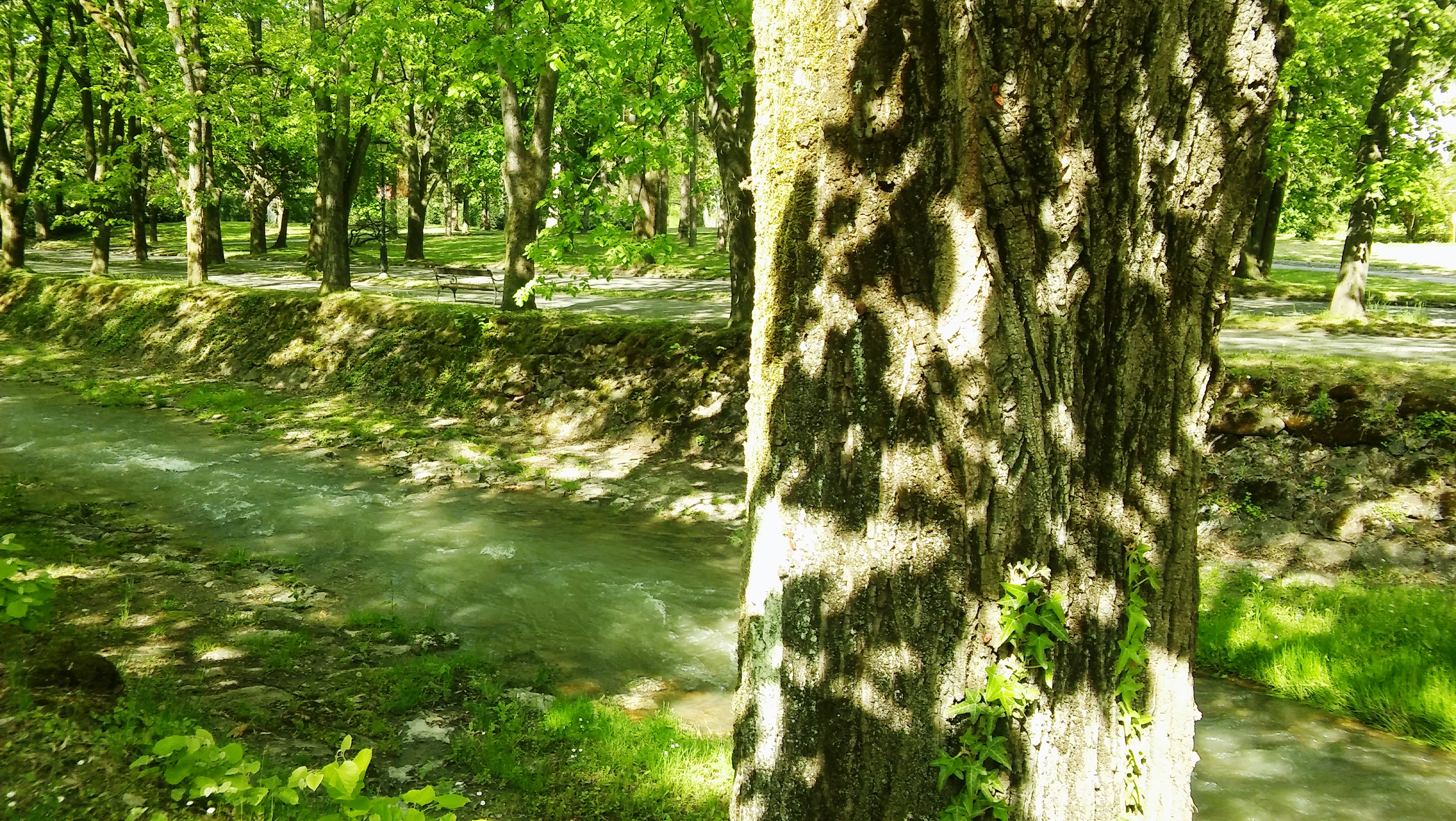 20170425_154538.jpg