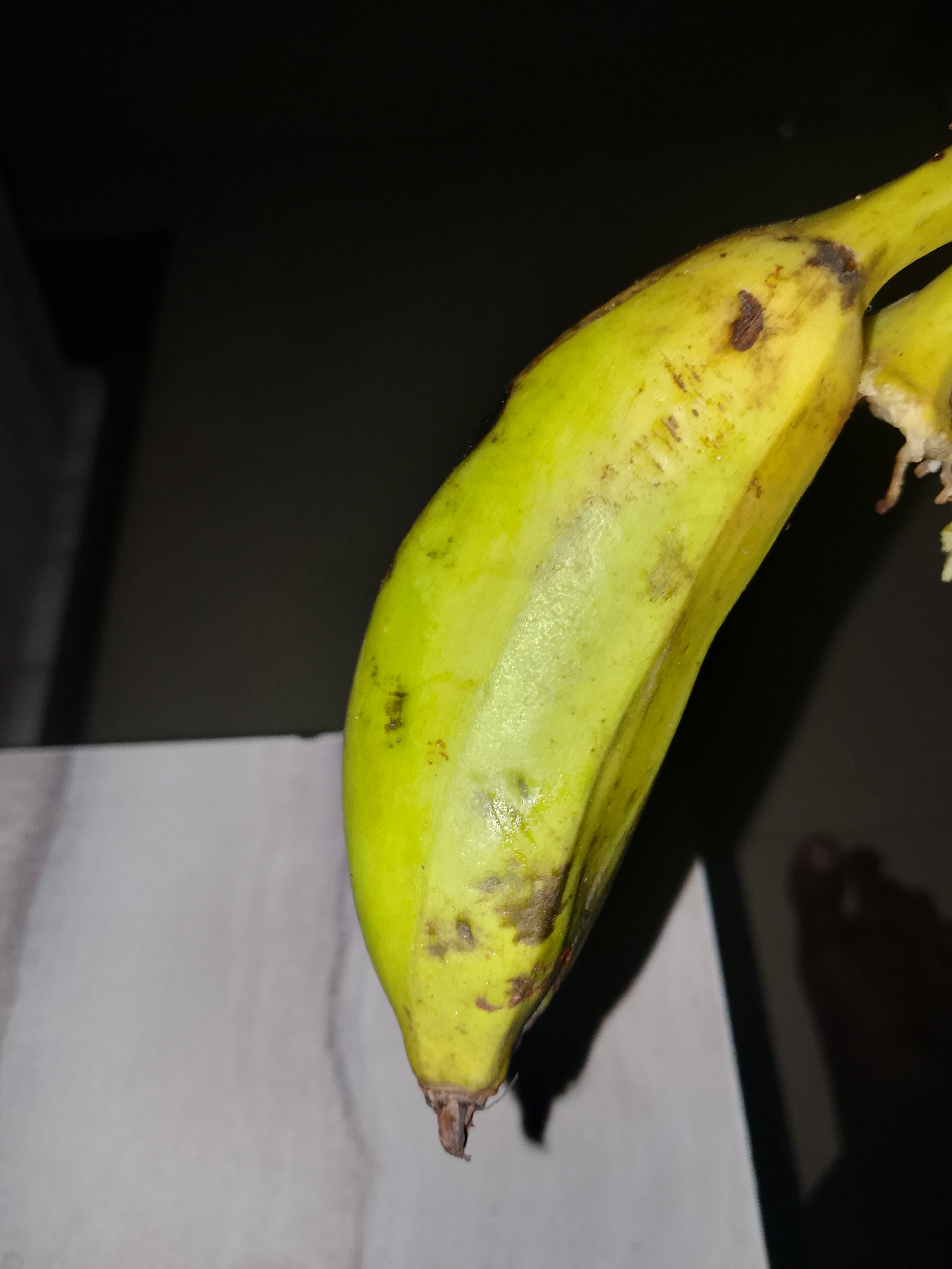 1000330150.jpg