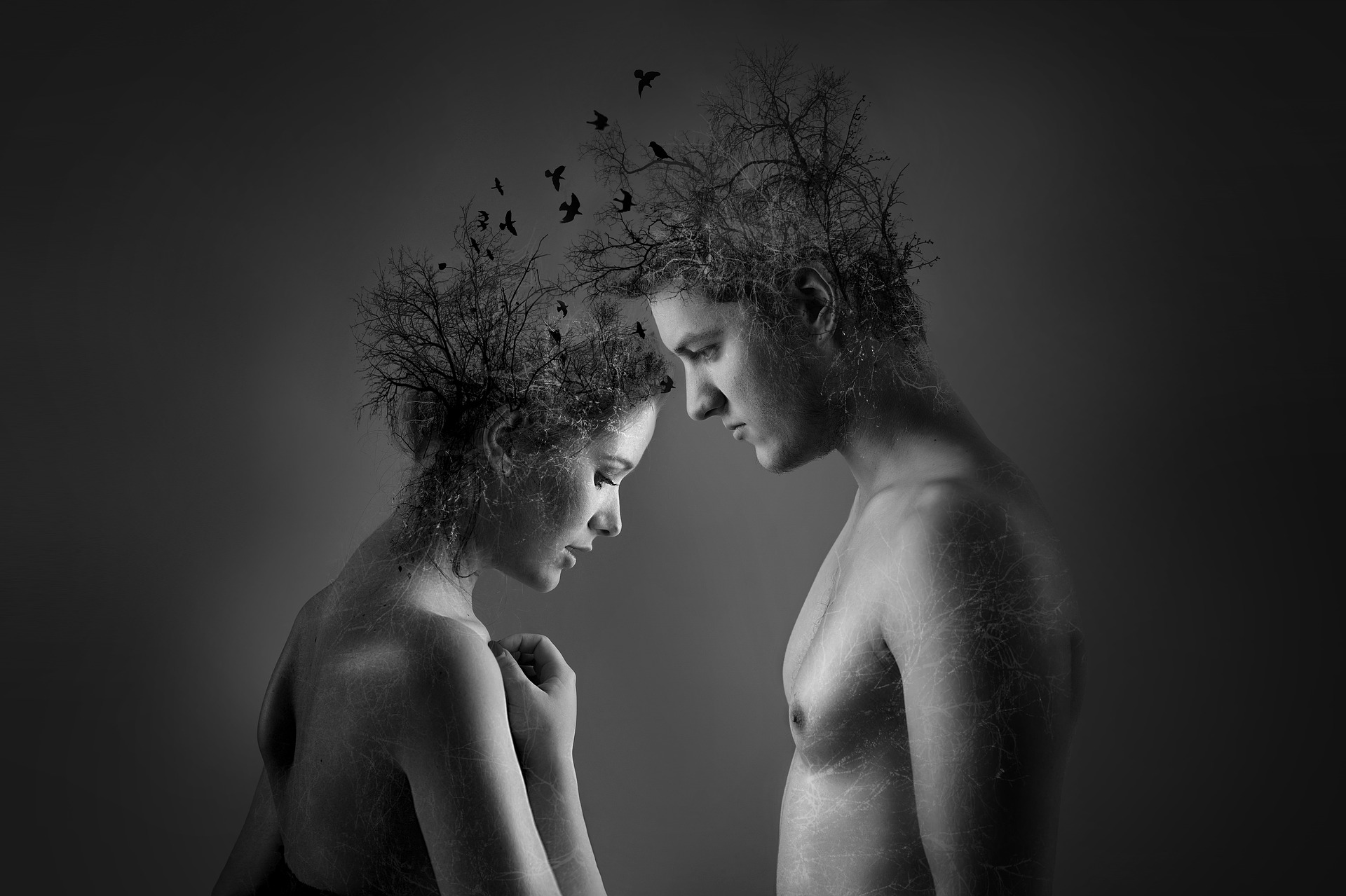people-nature-heads.jpg