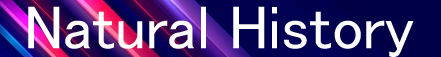 gg.png