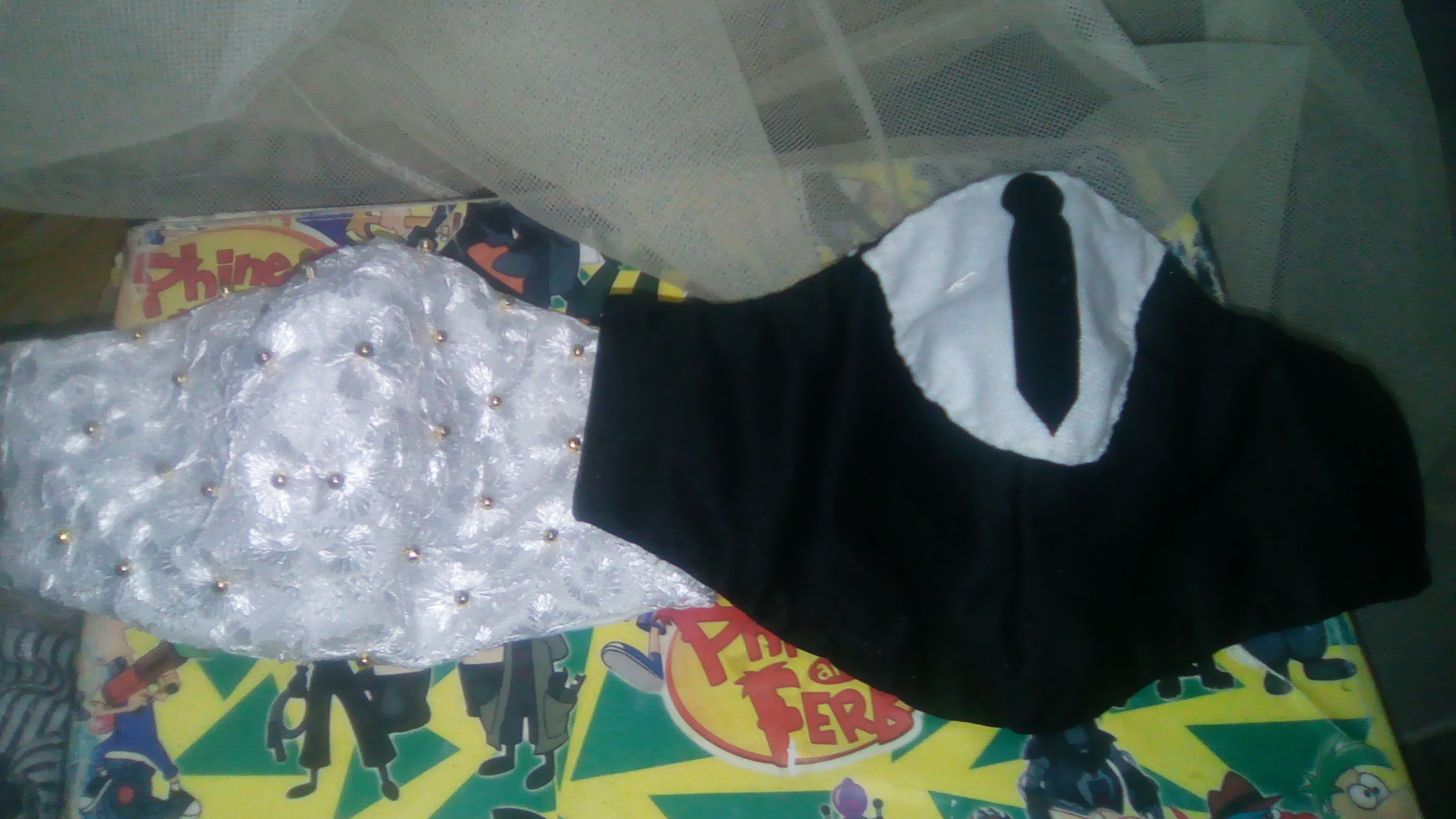 IMG-20201217-WA0038.jpeg