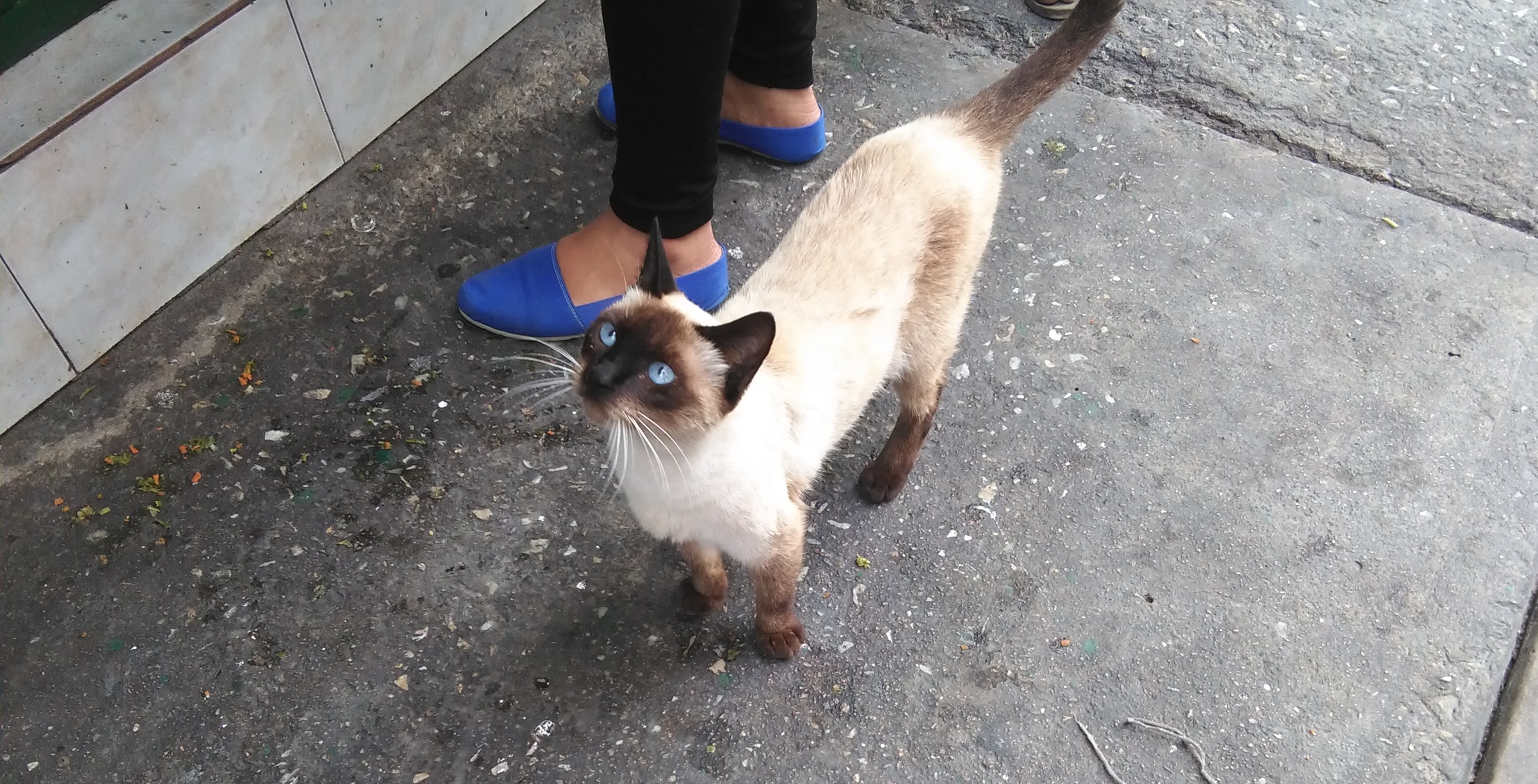 IMG_20180301_072706 (1).jpg