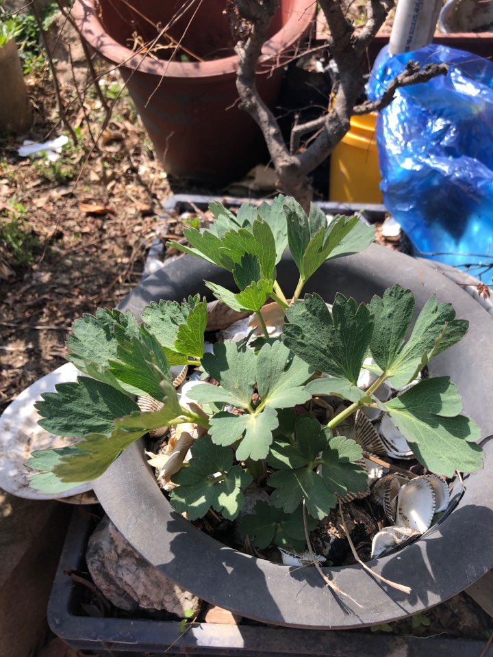 KakaoTalk_20190418_234008048.jpg