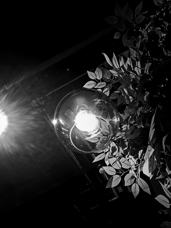 Bulb B&W-S.jpg