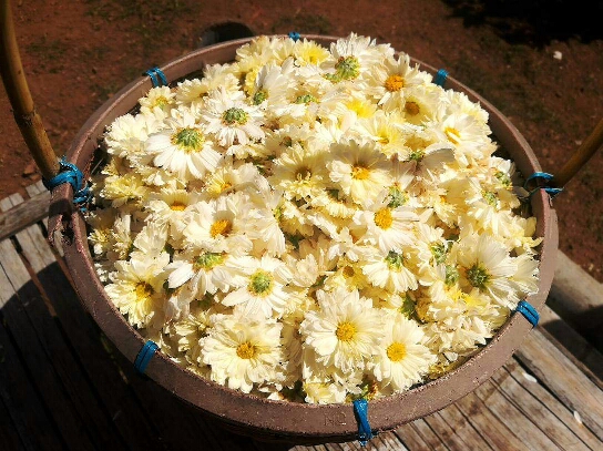 2019-10-29 06.39.35.jpg