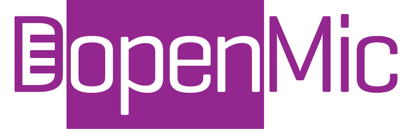 bidesign_sndbox_openmic_entry_01 (5).jpg