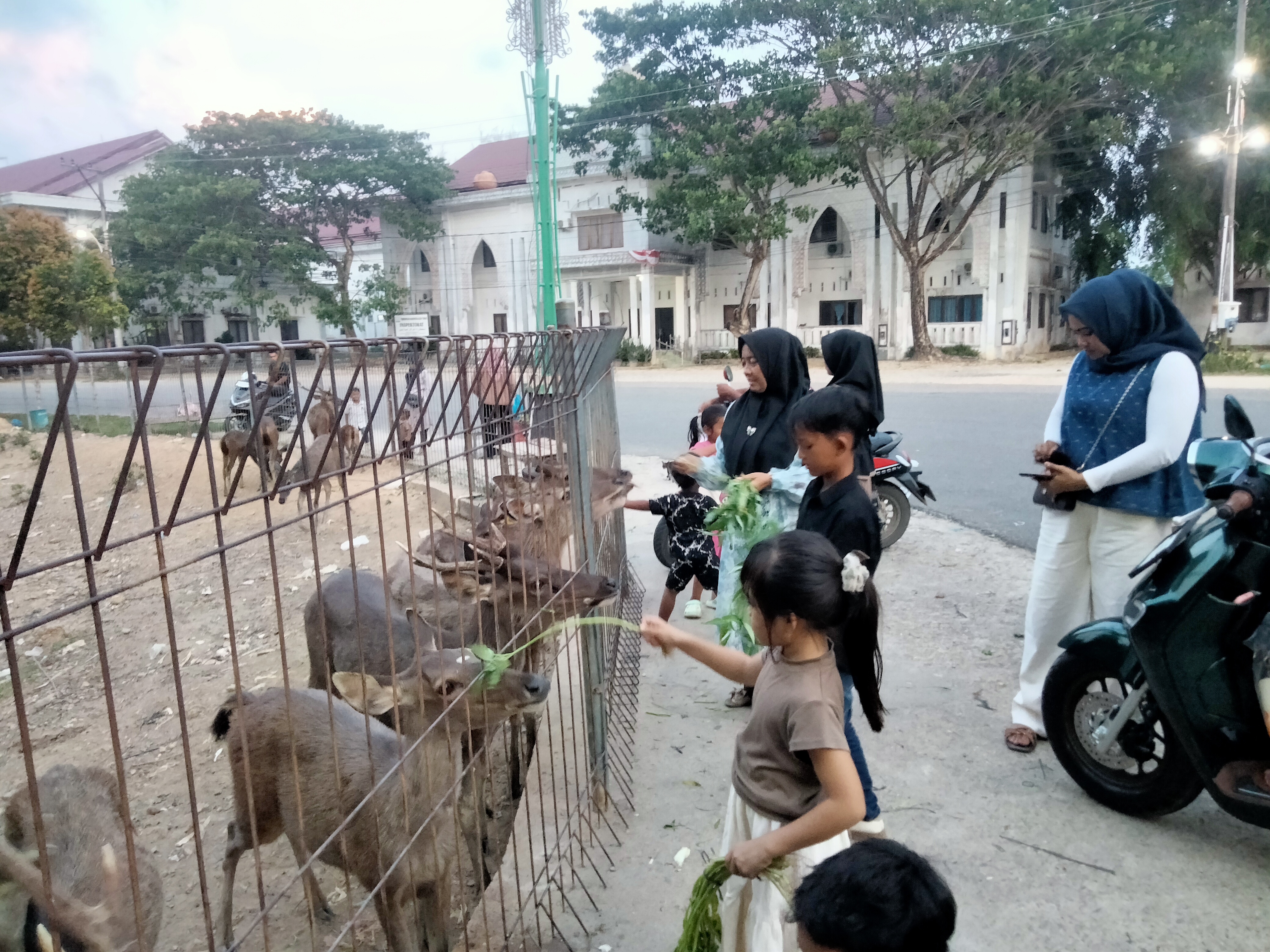 IMG20260616184038.jpg