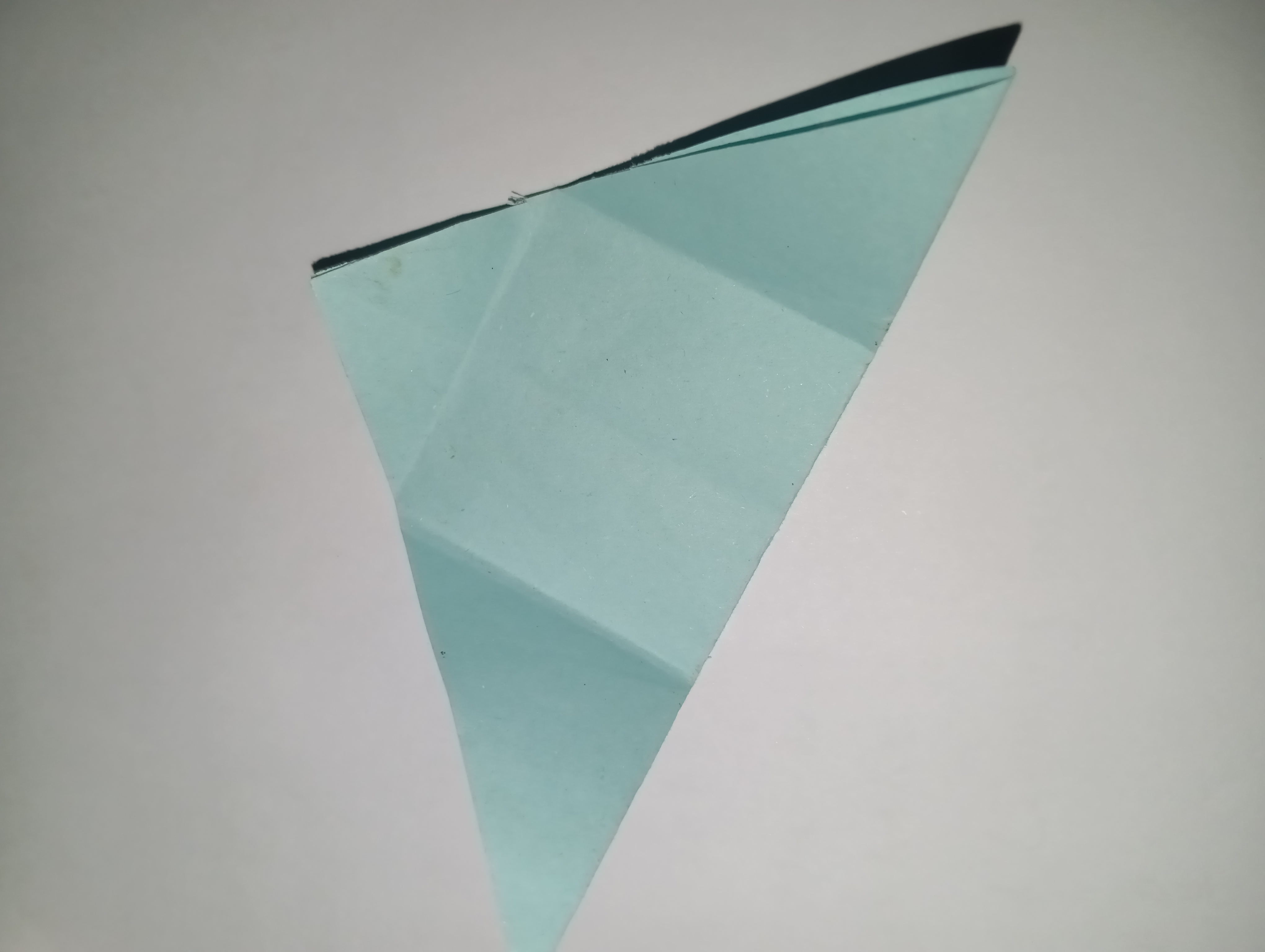 1000196286.jpg
