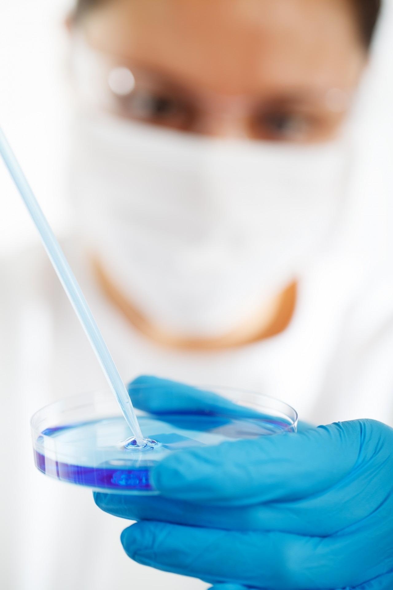 publicdomainpictures-biology-220005_1920.jpg
