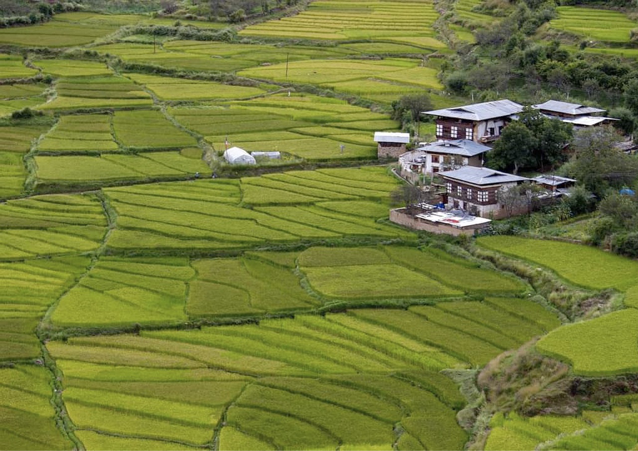 fields-6964338_1280.jpg