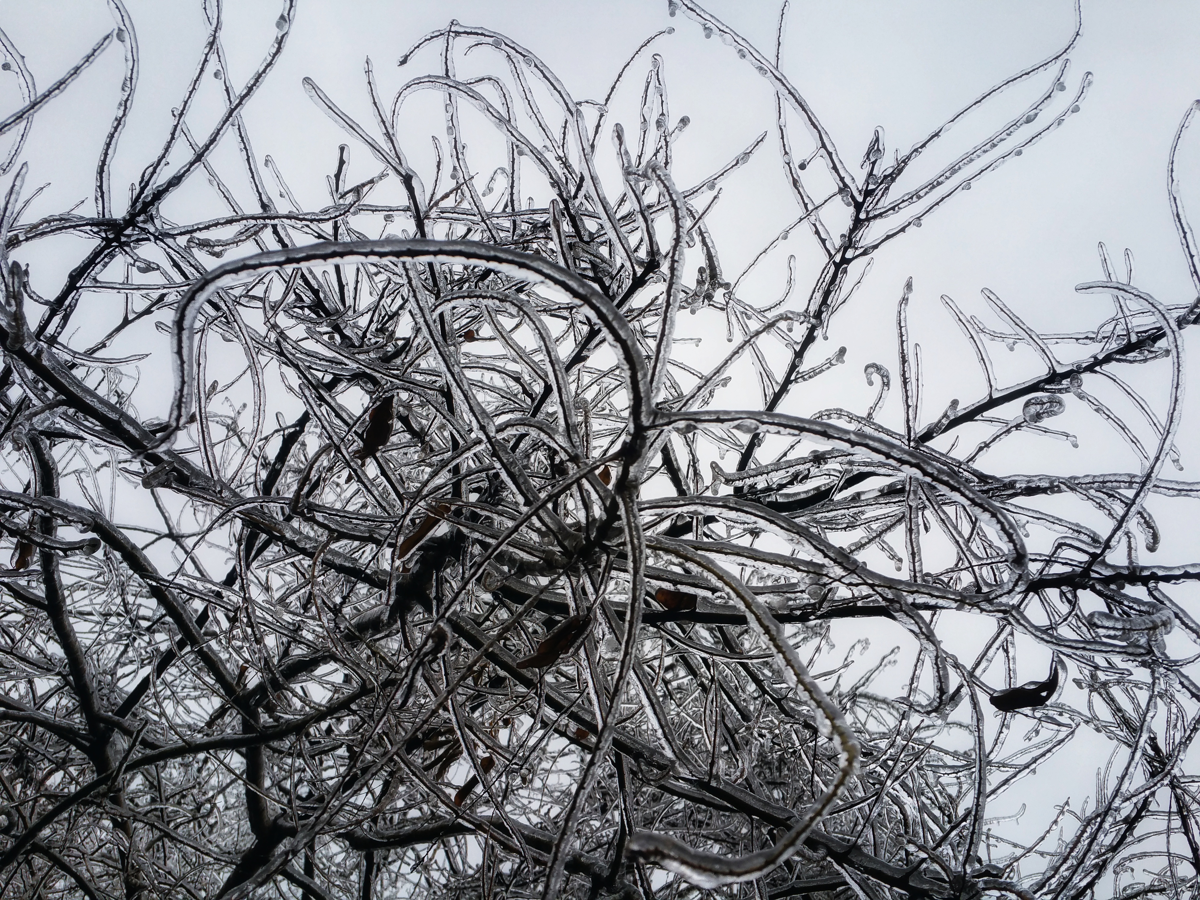 20190126_130058-01.jpeg