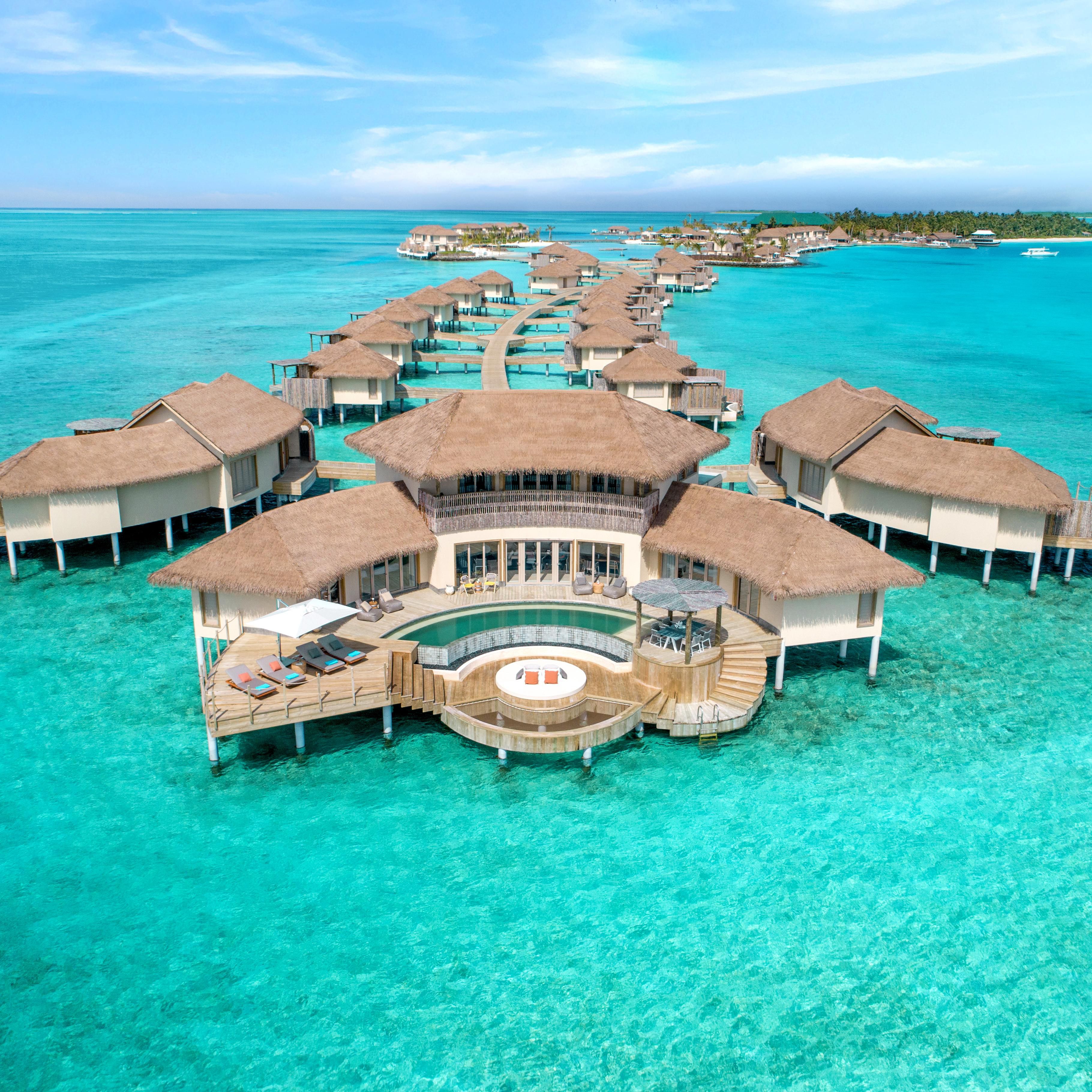 image_search_1669296811011.jpg