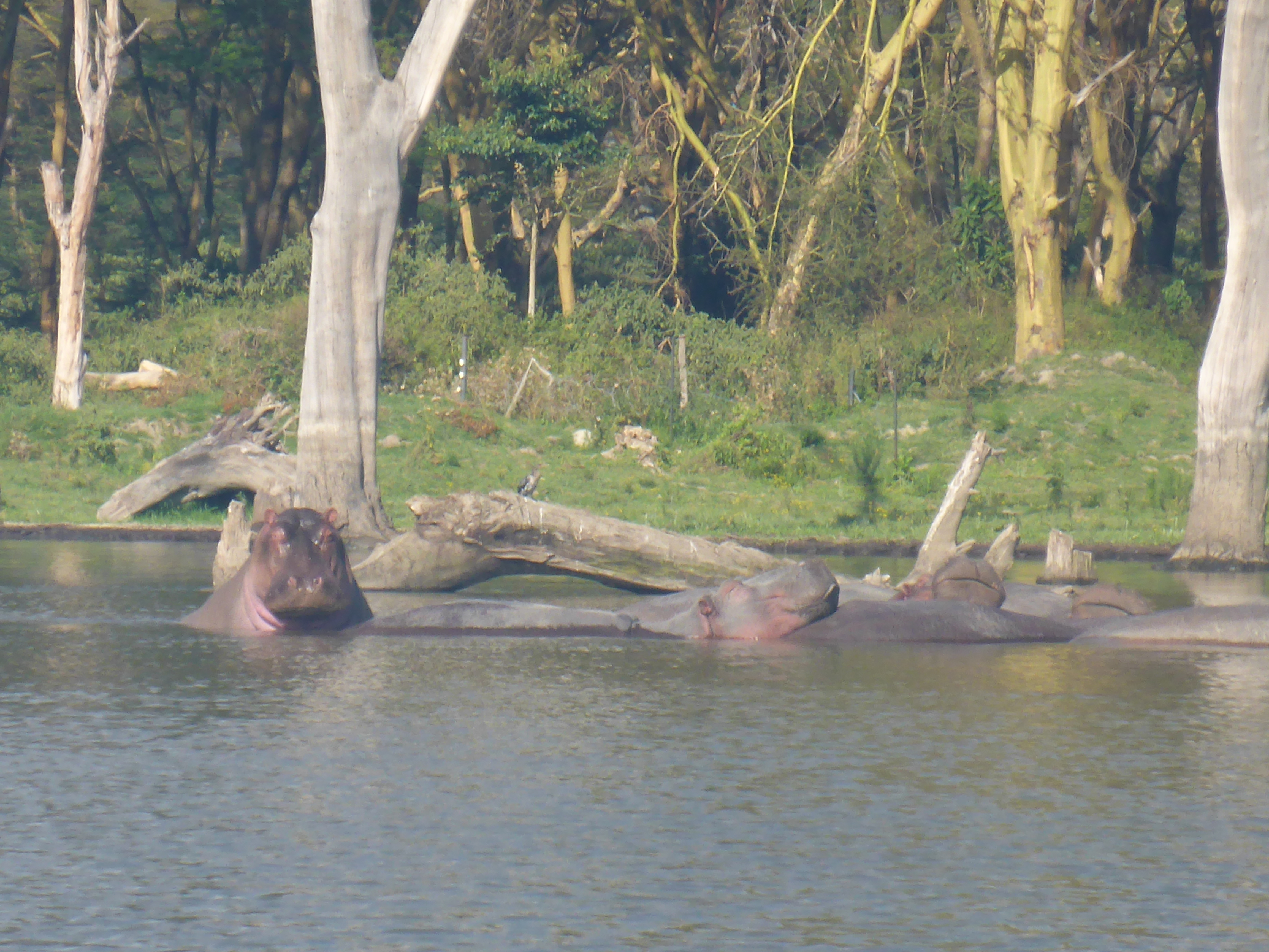P1080046.JPG