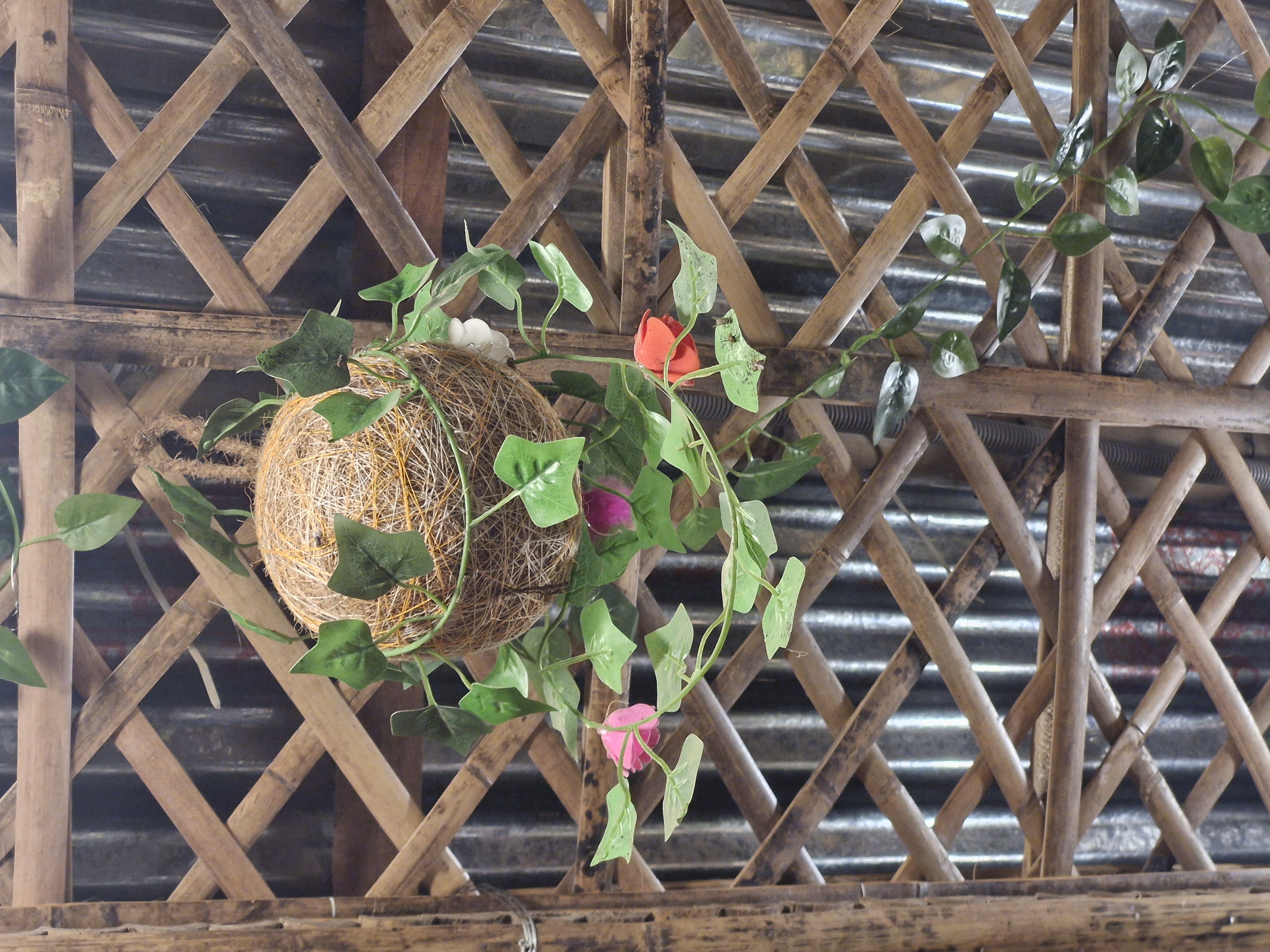 20260203_202322.jpg