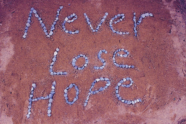 never-lost-hope-2636197_640.jpg
