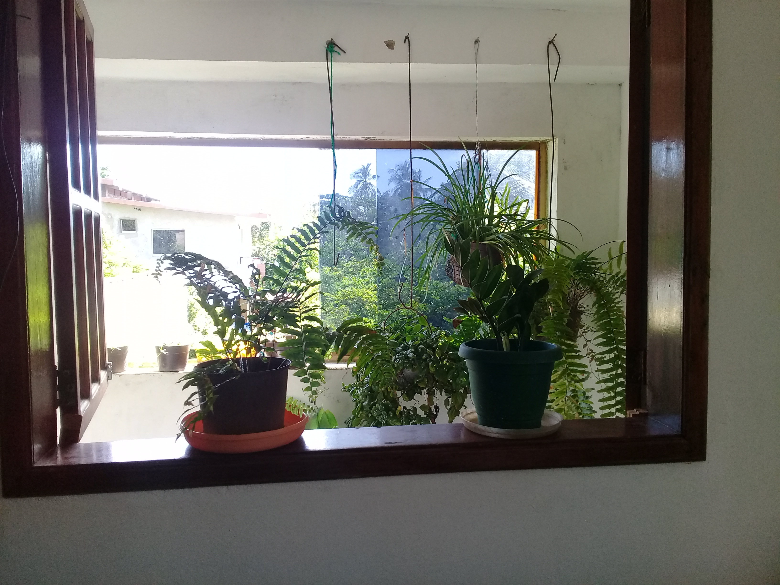 20221018_093539.jpg