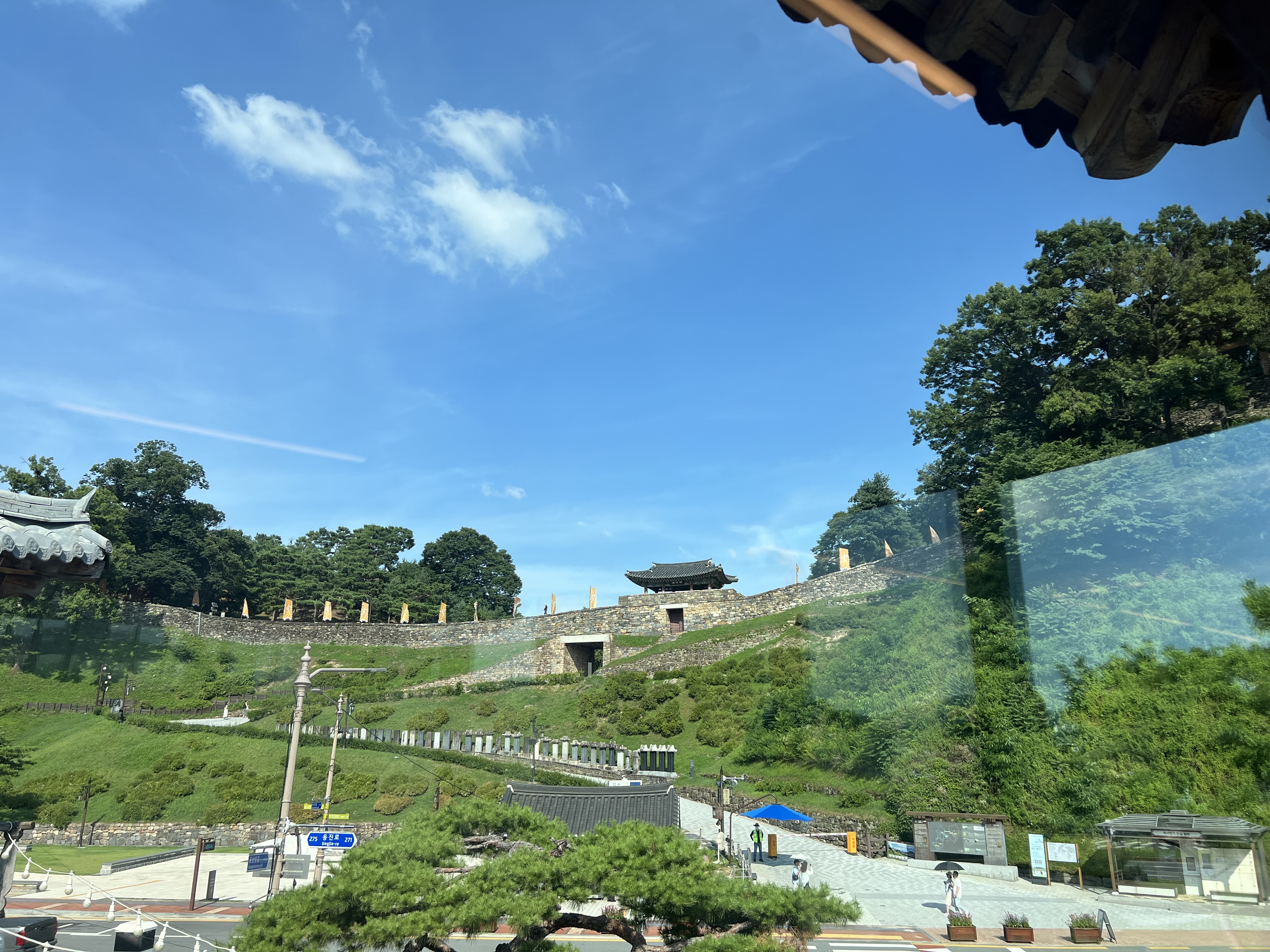 IMG_5024.jpeg