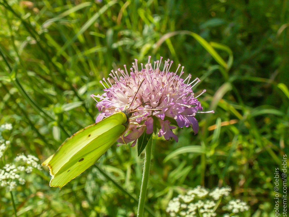 PICT3287.jpg