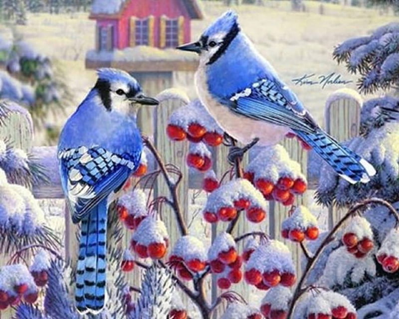 HD-wallpaper-winter-blue-jays-holidays-love-four-seasons-birds-xmas-and-new-year-winter-paintings-snow-berries-animals.jpg