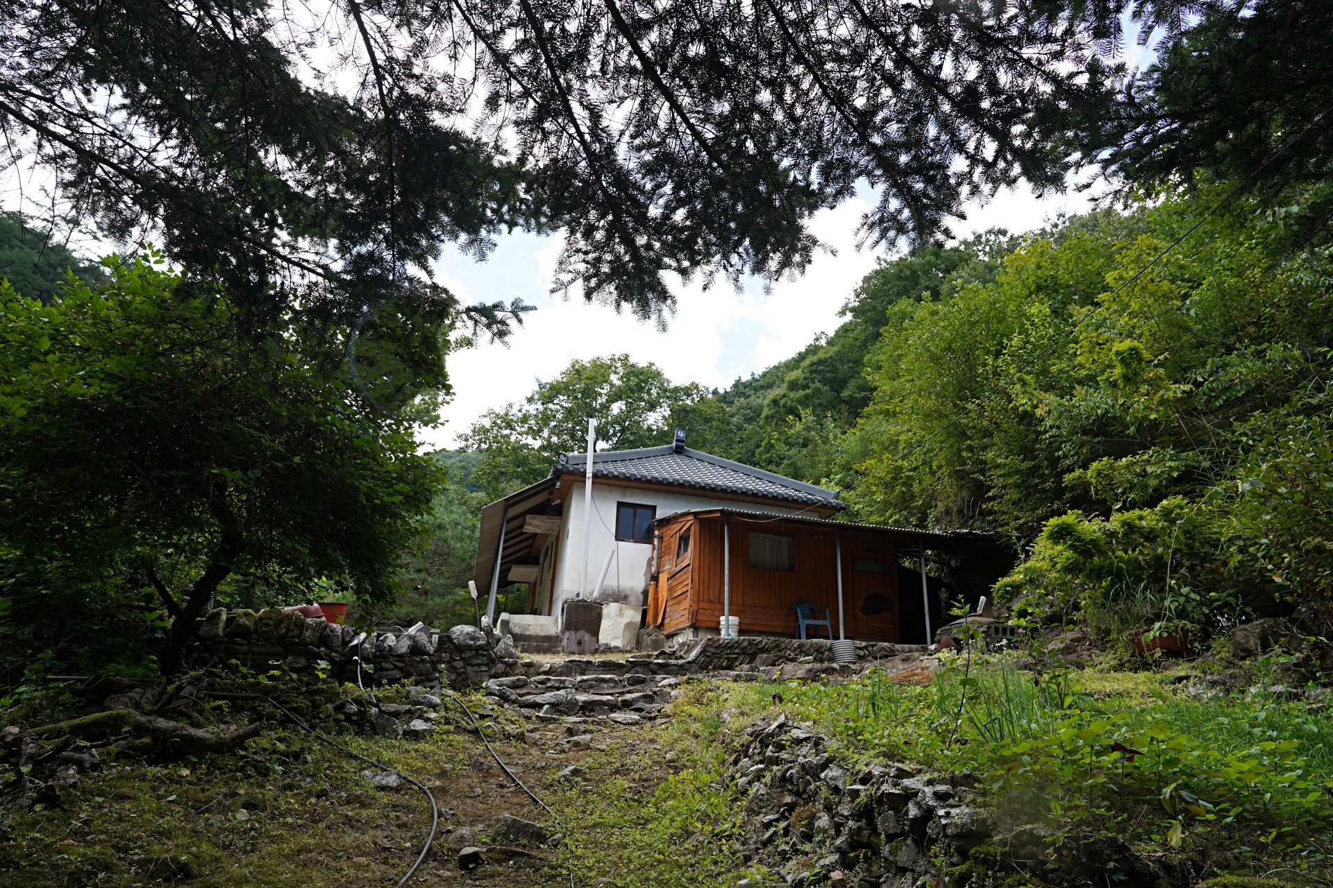 b-S260807-131740.jpg